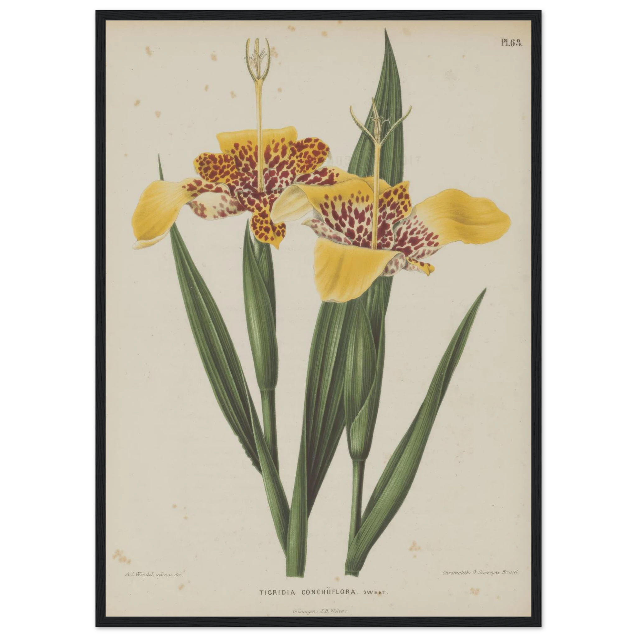 c58bb38d-1286-4a6d-a19e-a9ccbecbdf75