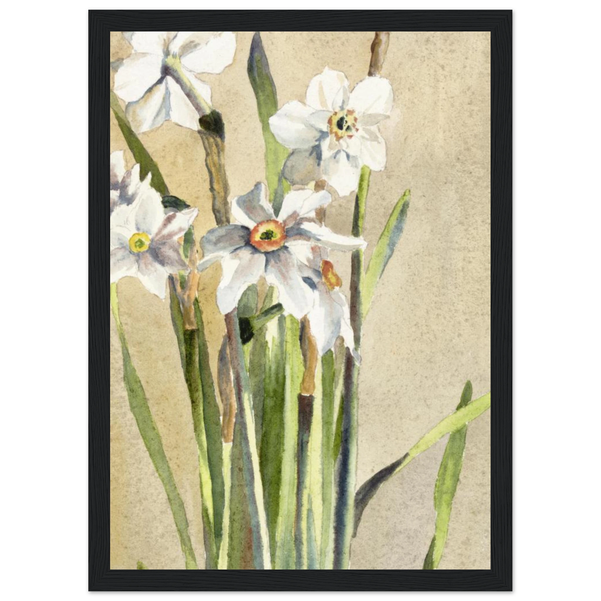 c5ace11f-3560-4698-a453-ed93f2648b53