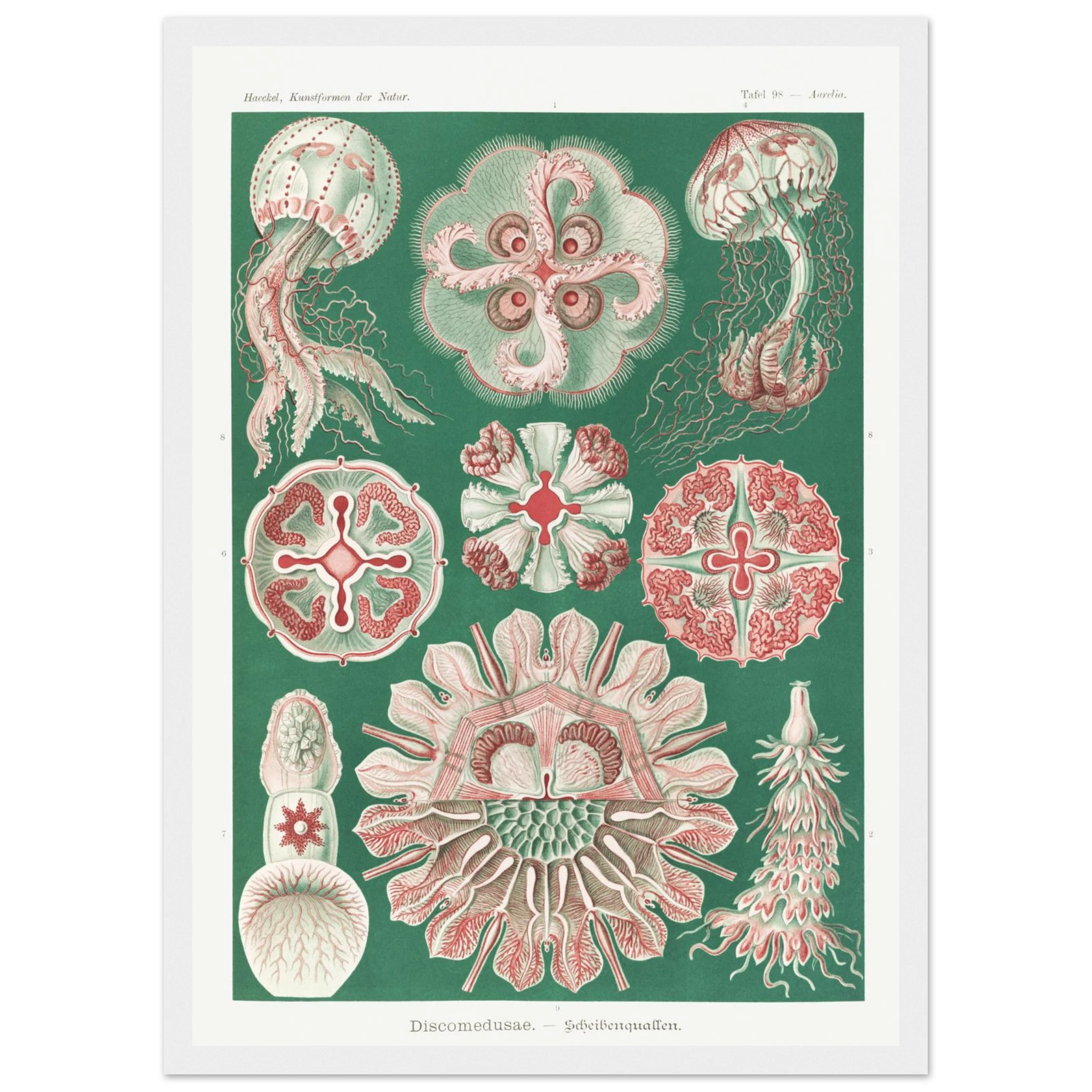 c5fad638-2bff-47a1-ae0e-6eccae7af282