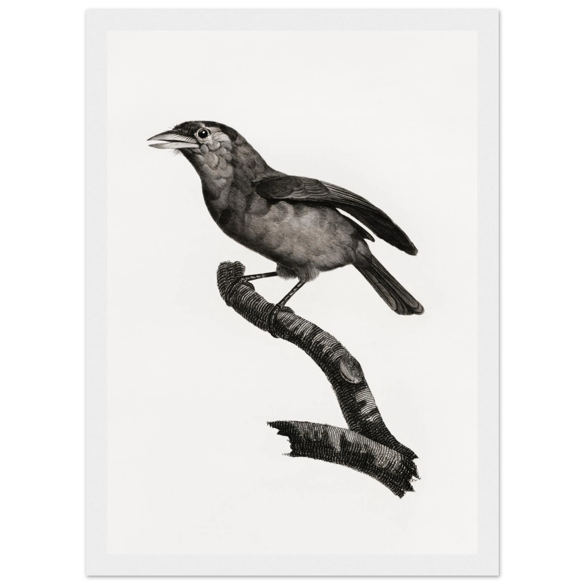 c62561b9-b891-48d2-8f10-bdd08c212a12