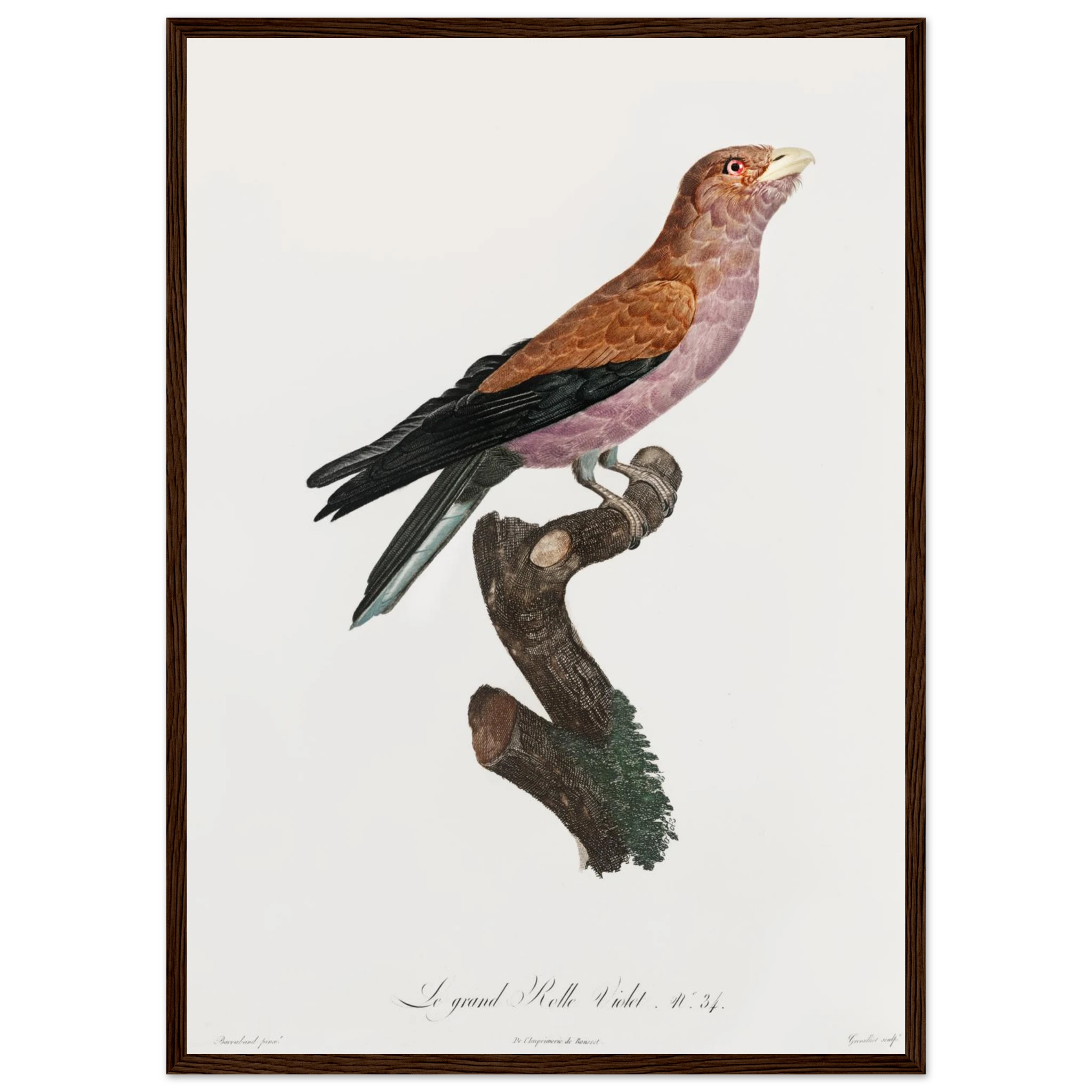 c62bdc9b-3990-4e66-9d75-f8126585b31e