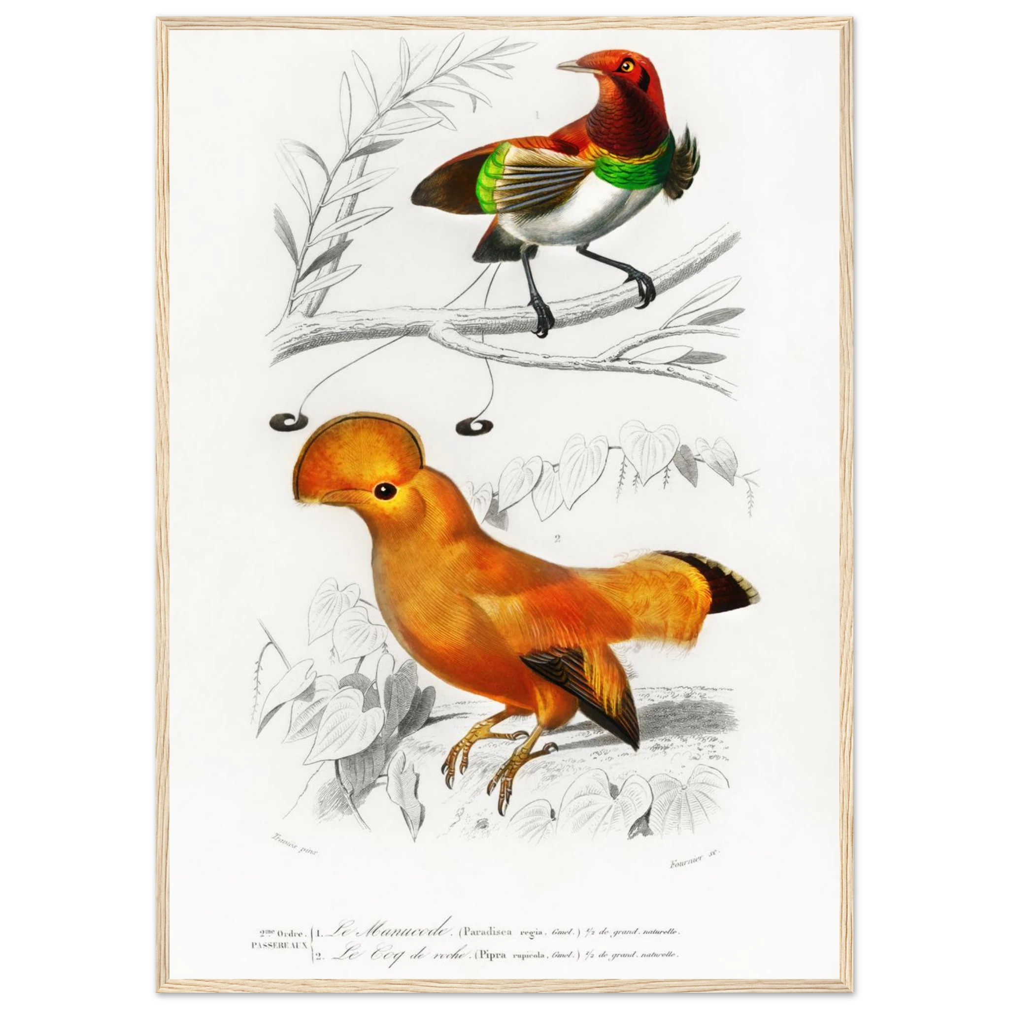 c63d6e88-f161-40df-9dc5-5c74e8794317