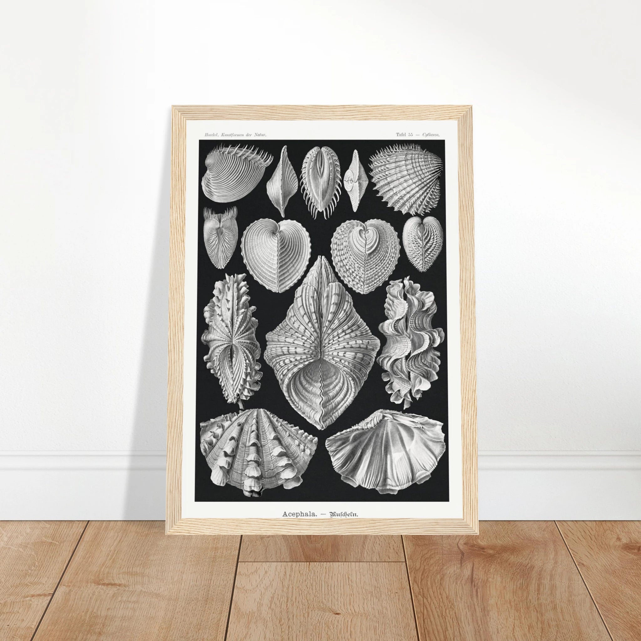 c6630309-3375-4a1e-9286-556b51311372