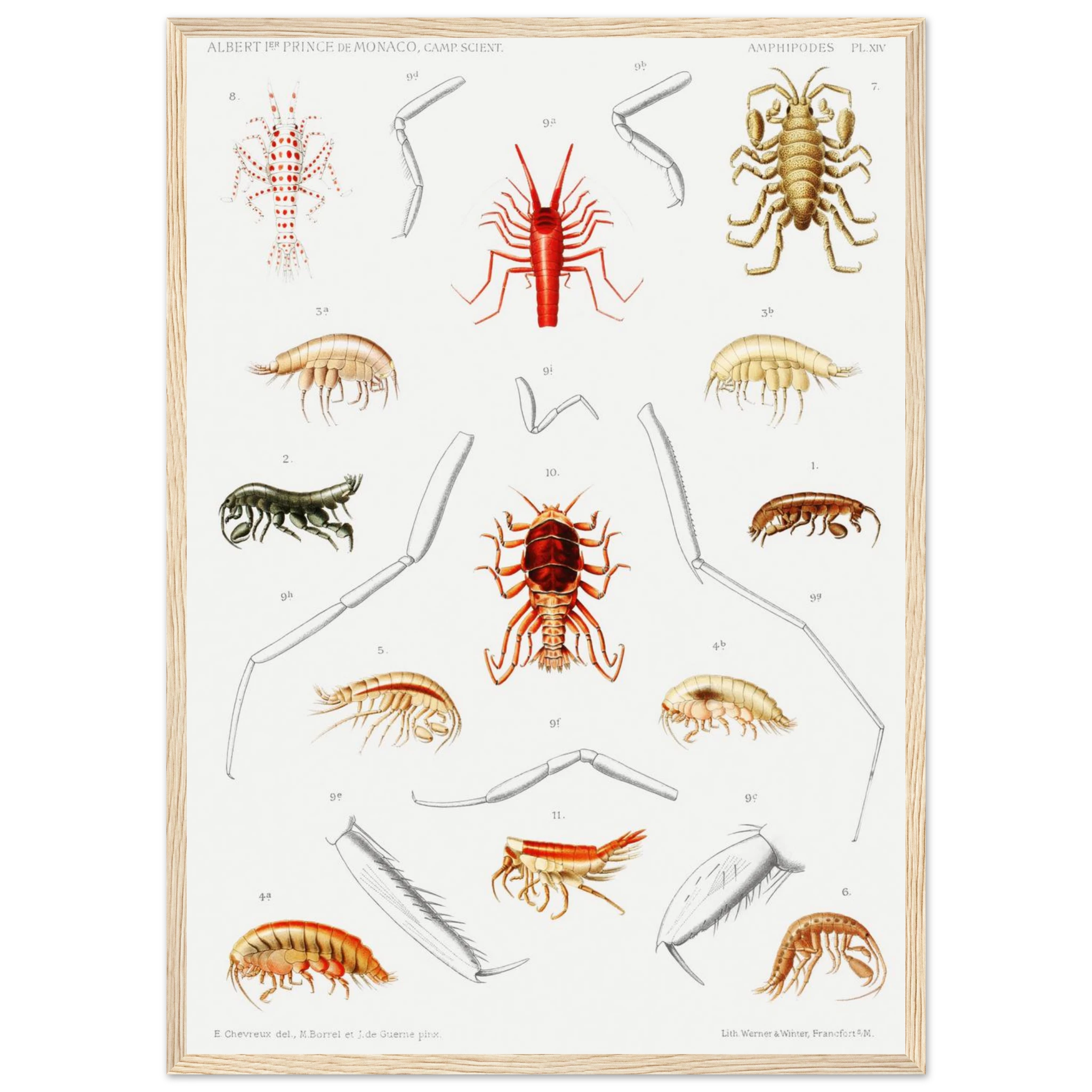 c6d2d749-5ab4-4109-9fa1-b1128d024420