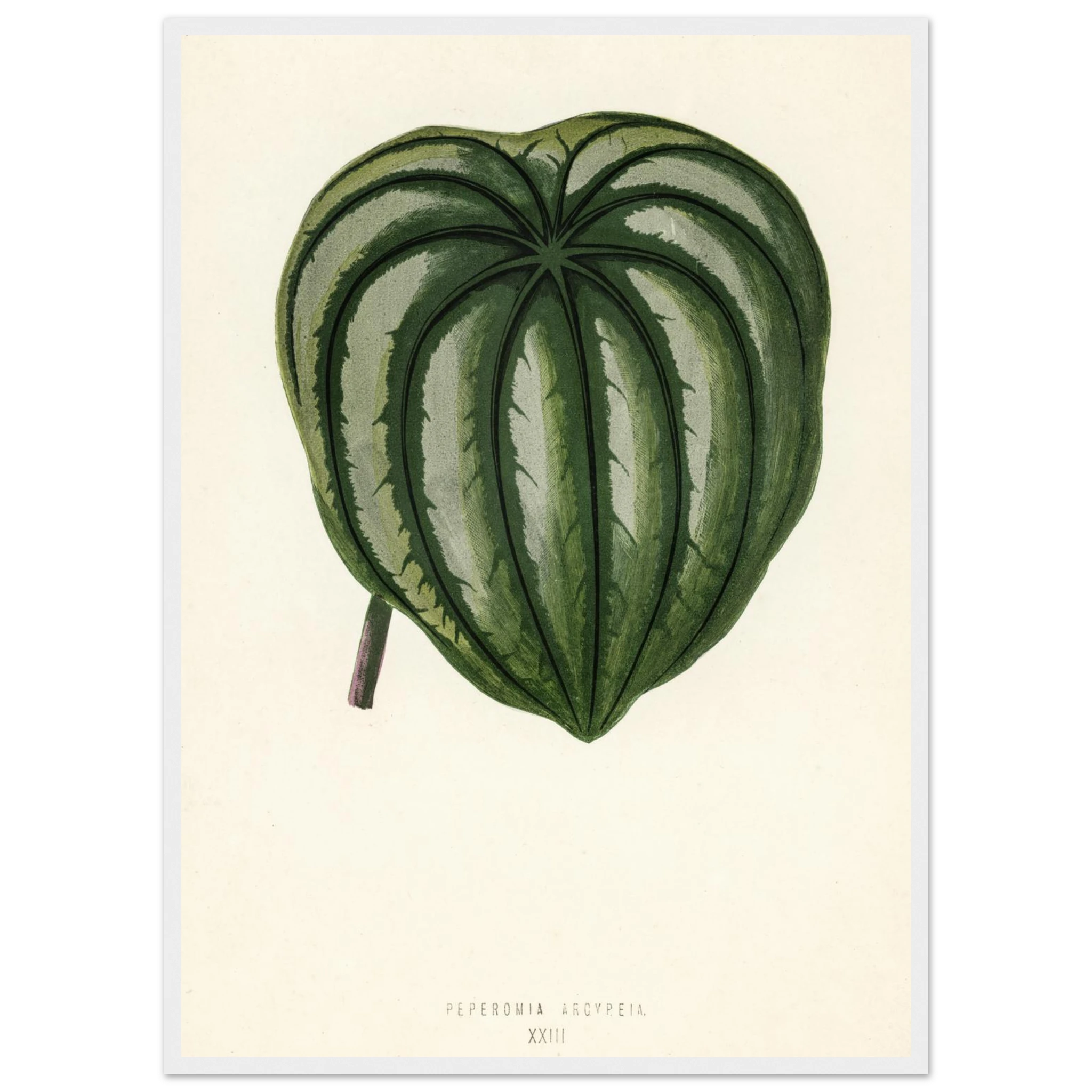 c6ebefef-ac29-4c54-a1e4-edb5e329cd61