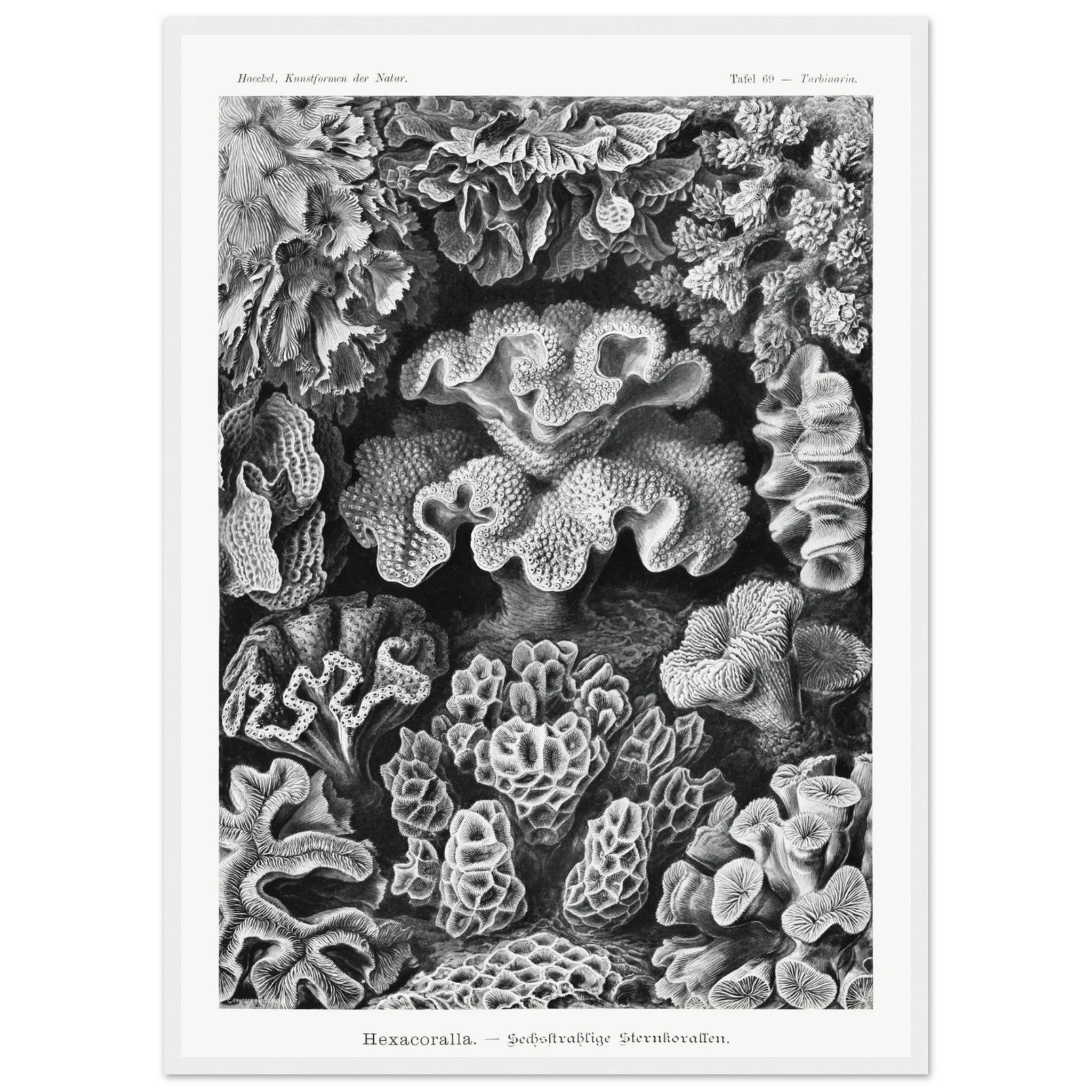 c72379e9-a13e-45c0-8ad4-80b779e38d71