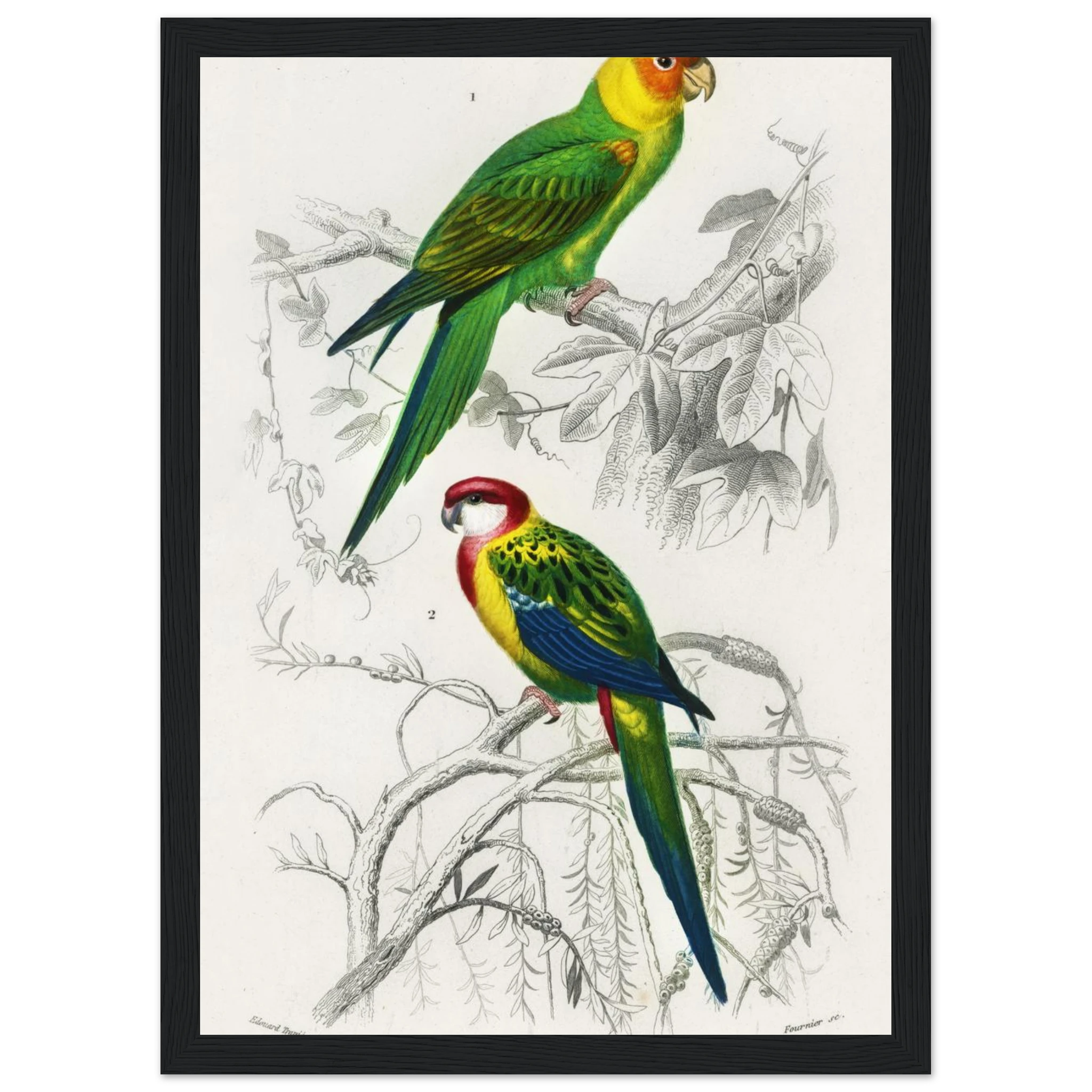 c75994c9-01d1-4d3e-8a62-4113cb51557e