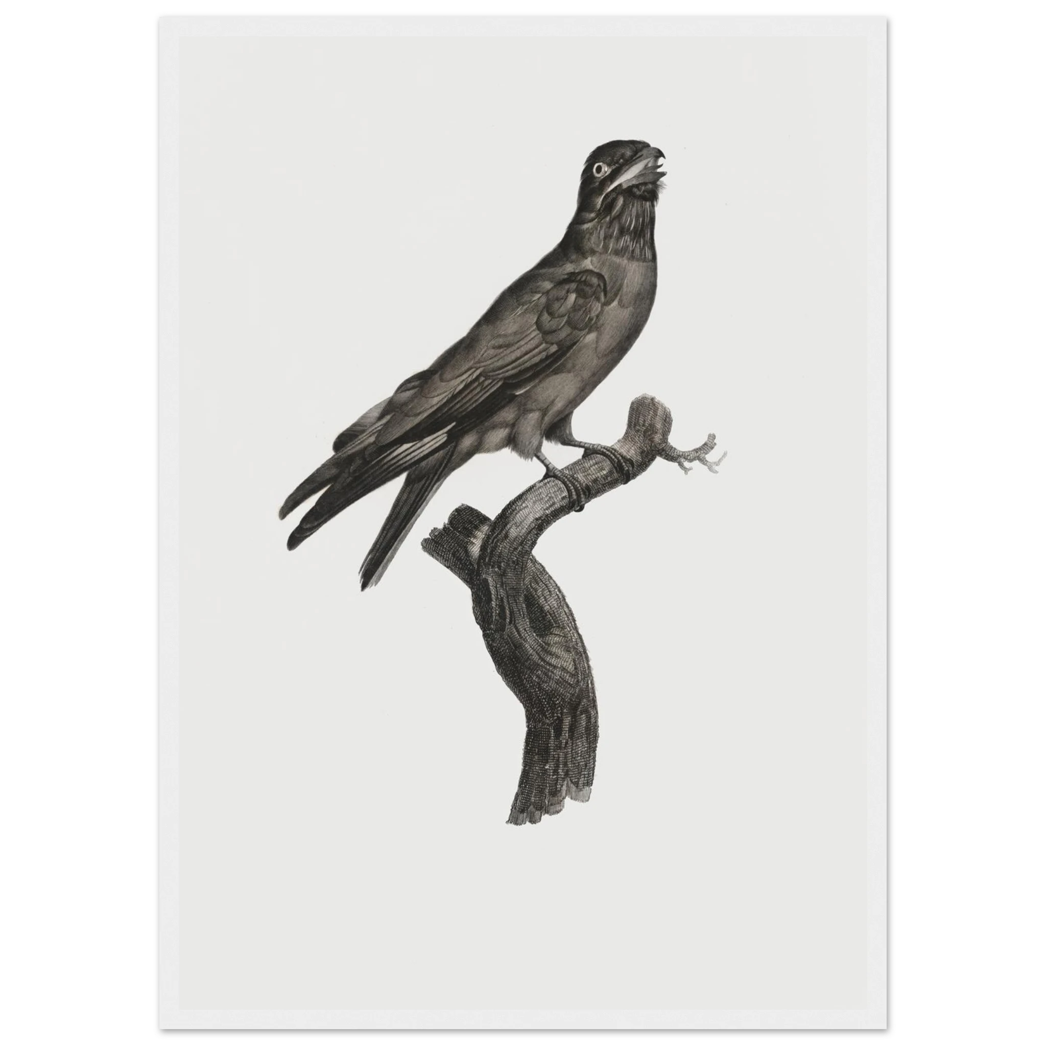 c7aeba56-b385-427c-a2e5-ec8bfb499791