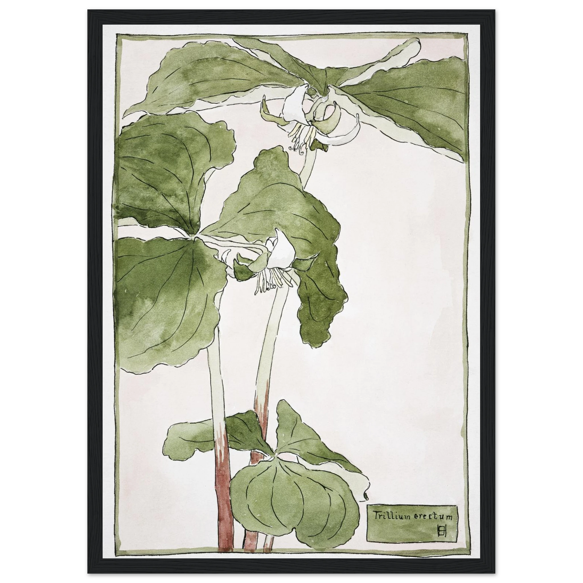 c7c59ba9-8e5c-4bc8-980a-6d9f4b65516b