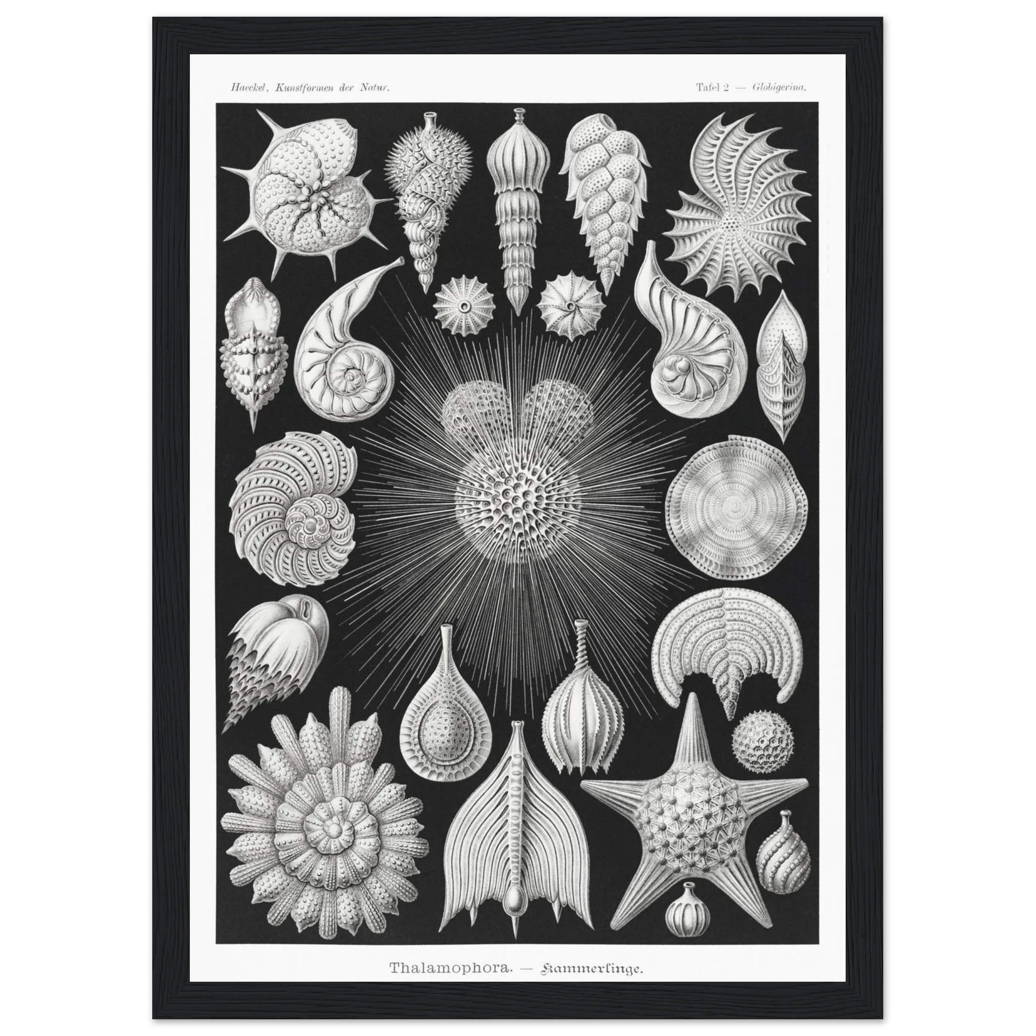 c7ce0d62-0801-4058-b7e1-2cfcda4999ab