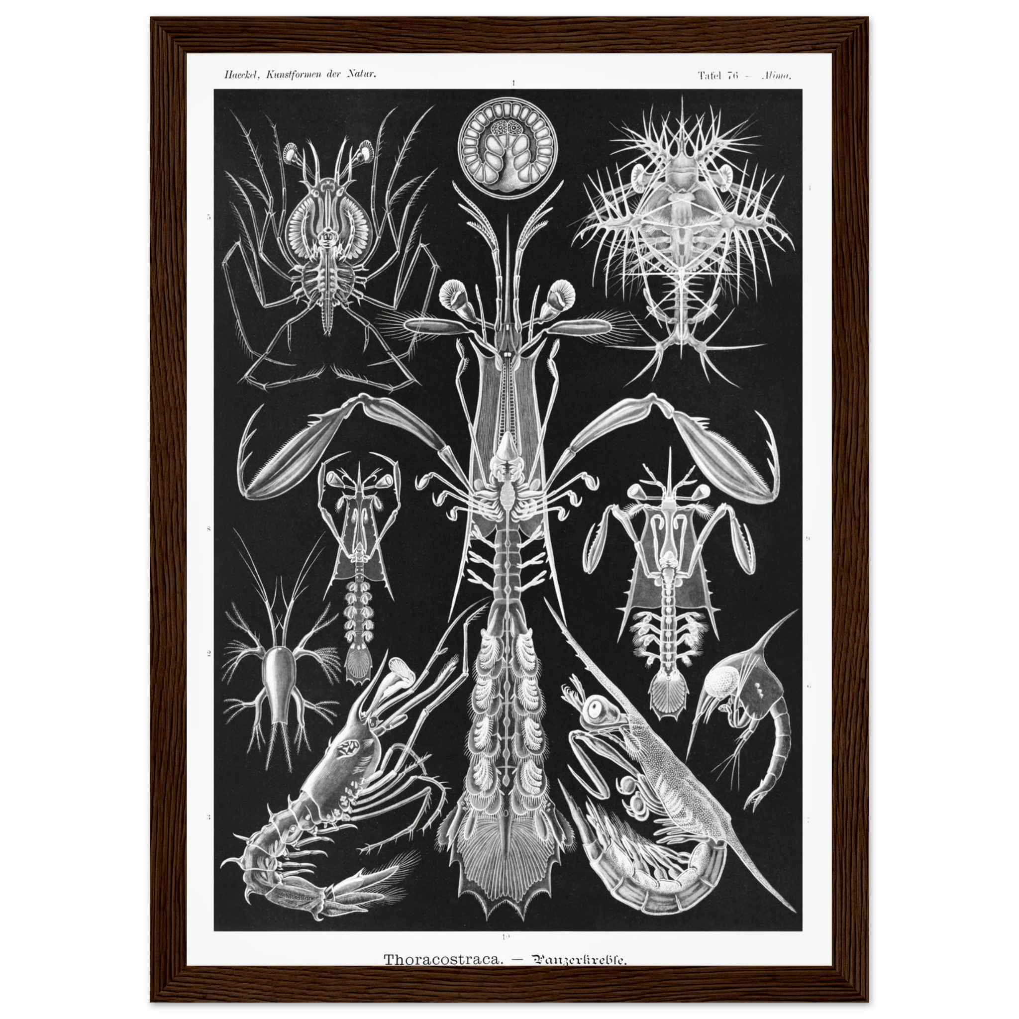 c7f29371-8fe7-465d-b545-2a9992643322