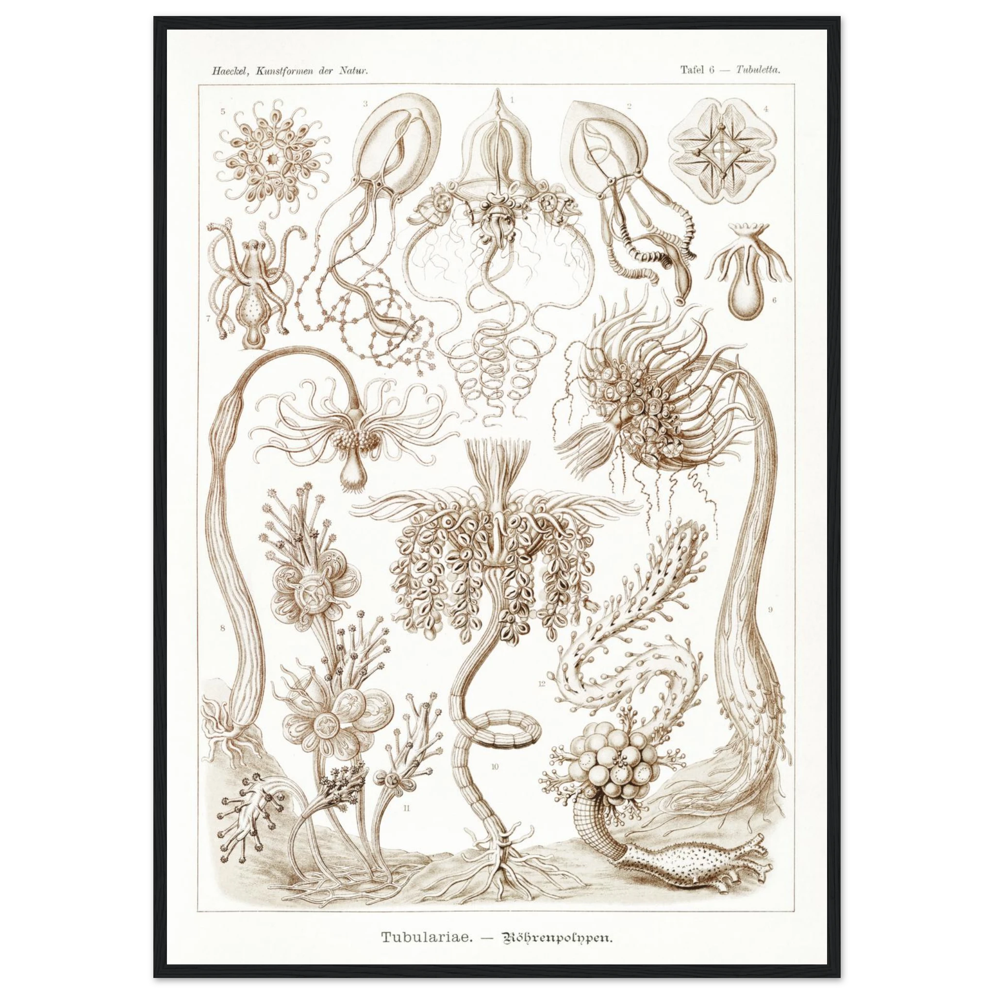 c85ab395-2fa3-4e87-805a-d9ebf3f720b7