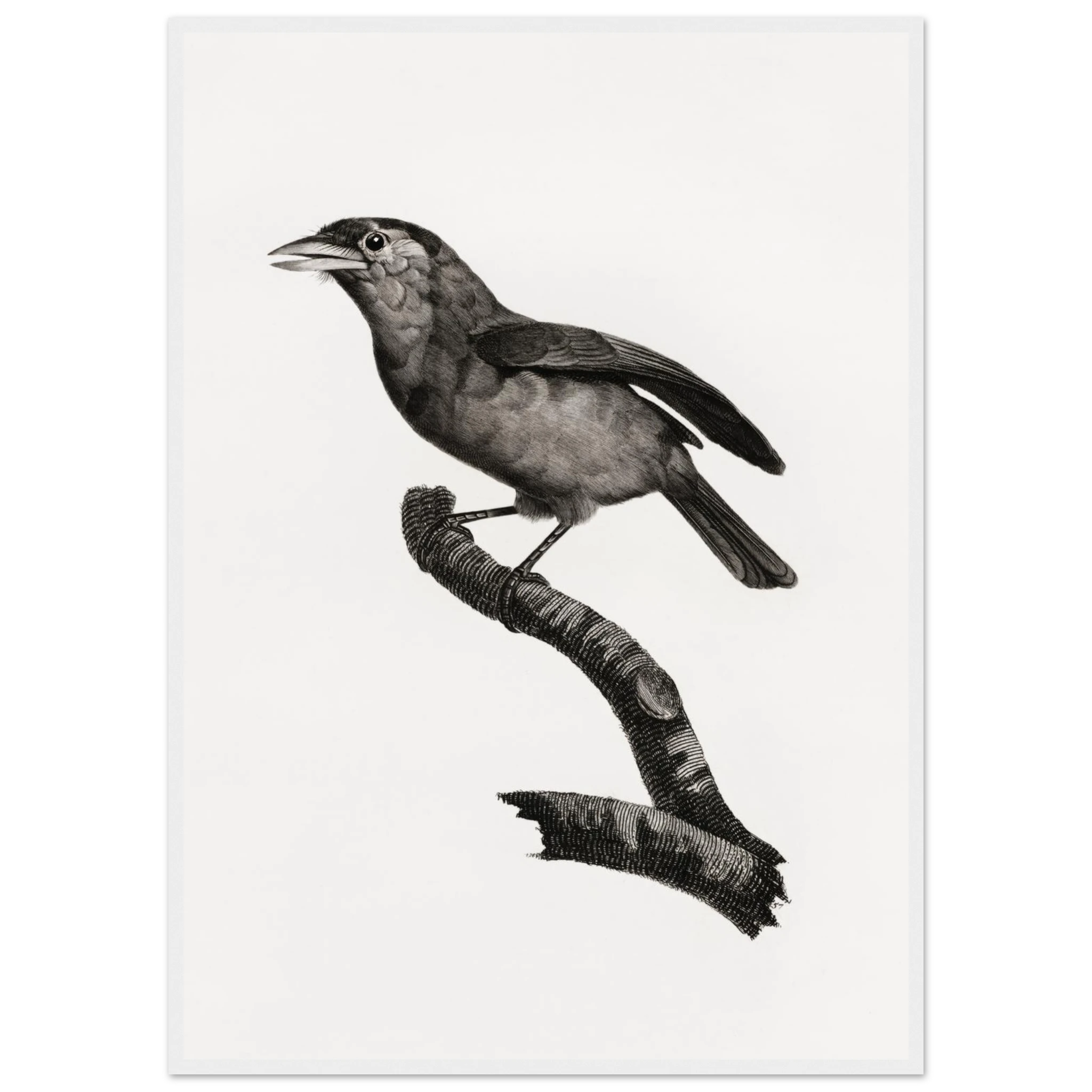 c881b20a-b5ed-4669-8fe7-670c0faecf94