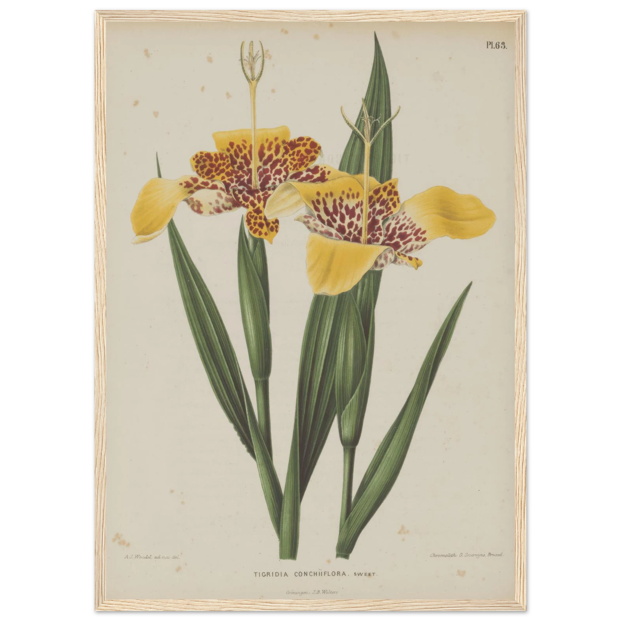 c890115a-89b6-439c-b725-f8822250dbc0