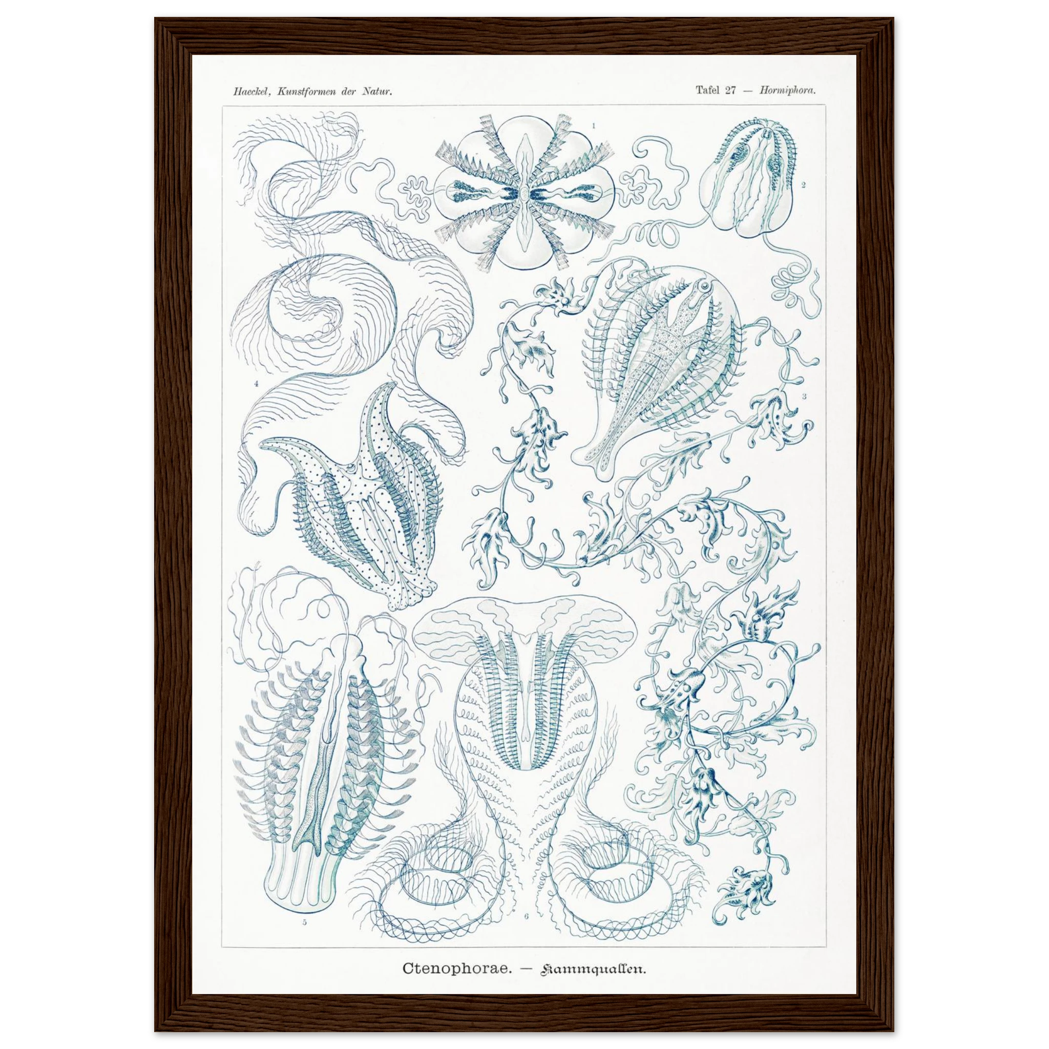 c8d5d689-c3a3-49cd-917b-d8fe1b848d8c