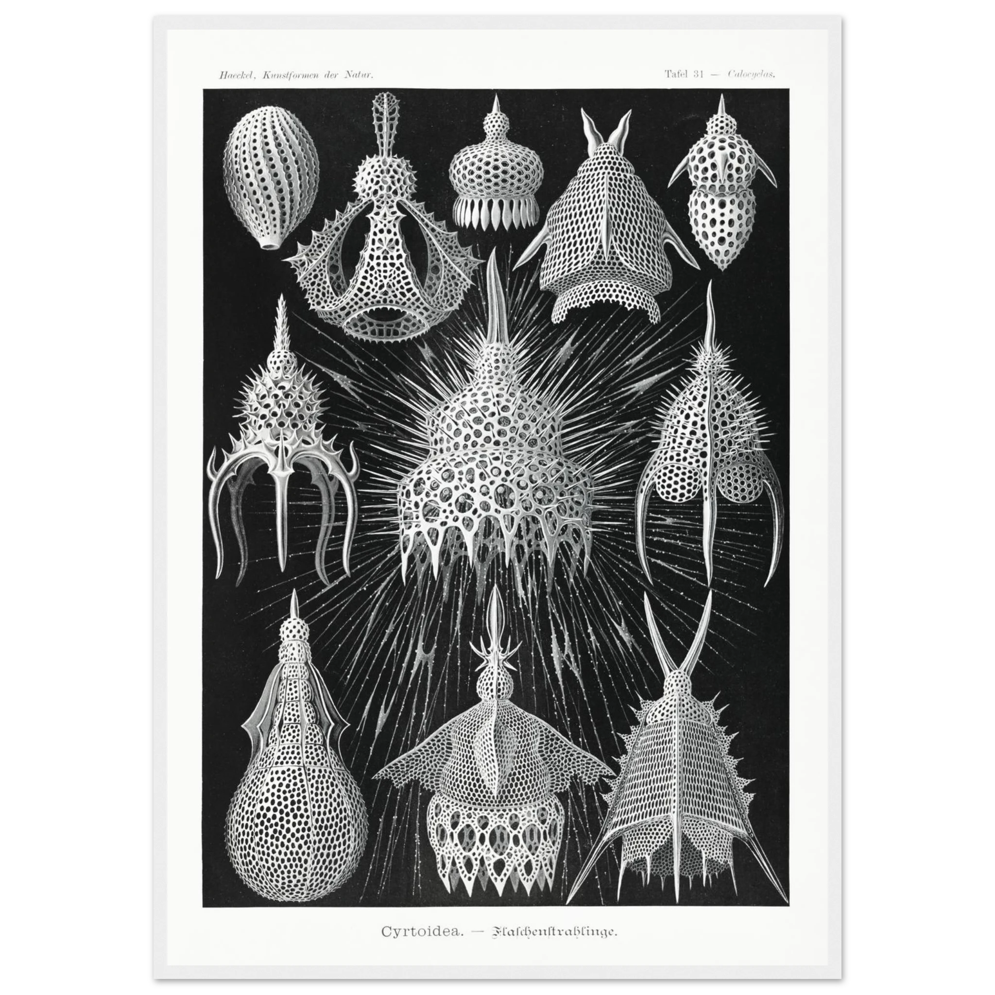 c91bf89d-b00a-44cd-a224-00f025b14661