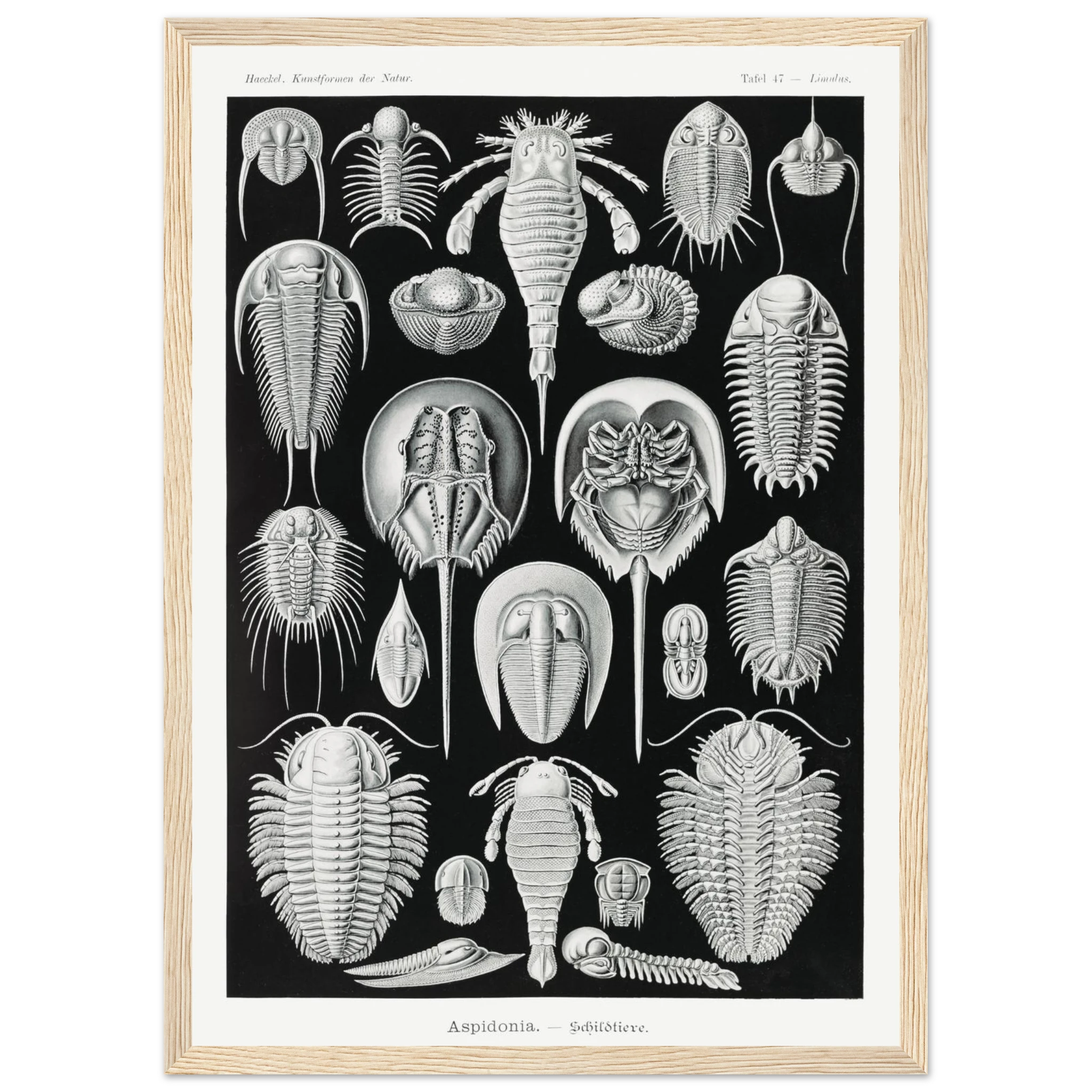 c93726c2-db44-4bb7-8a53-1ed3fa77faac