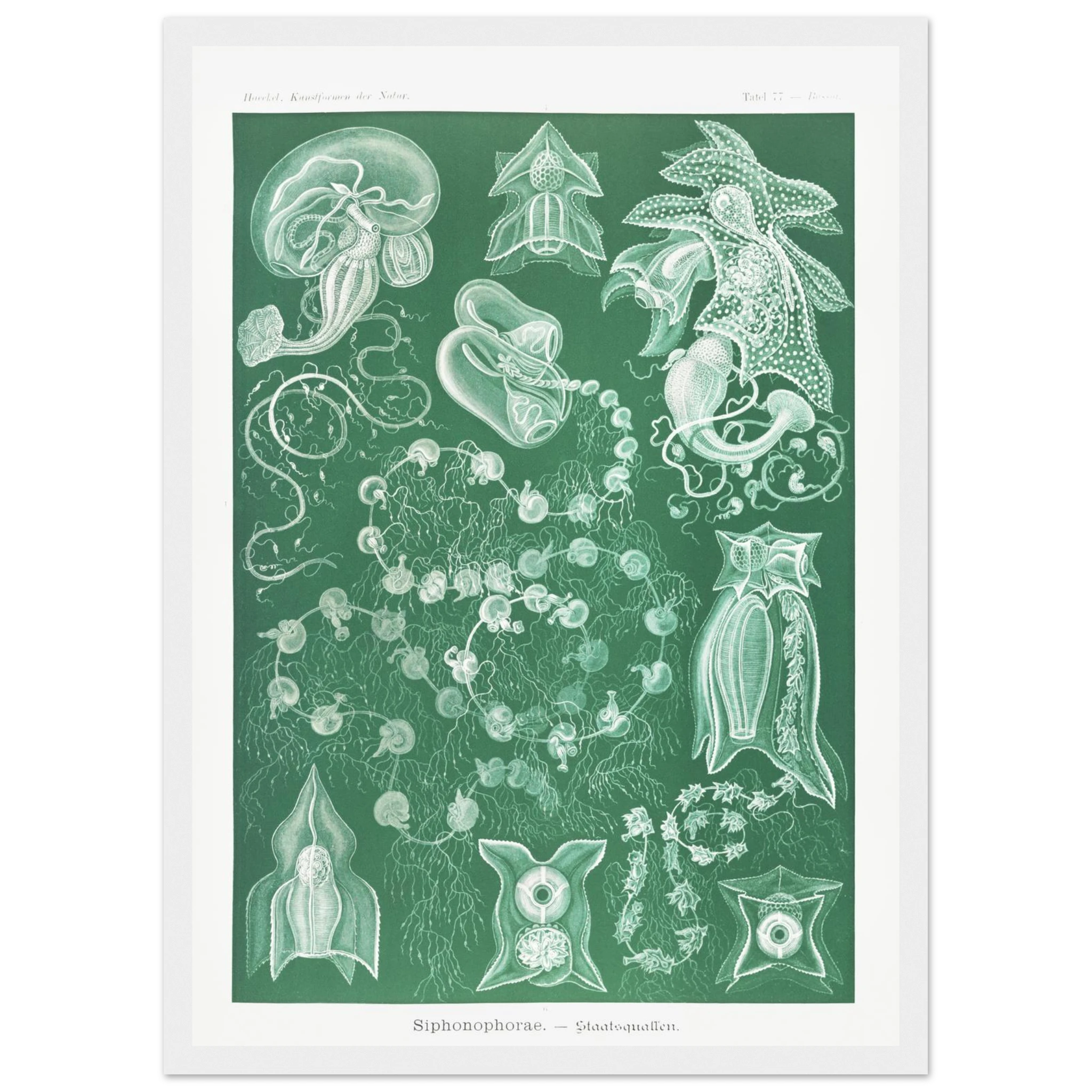 c961c653-d200-46e9-94a9-6d61e10e069b