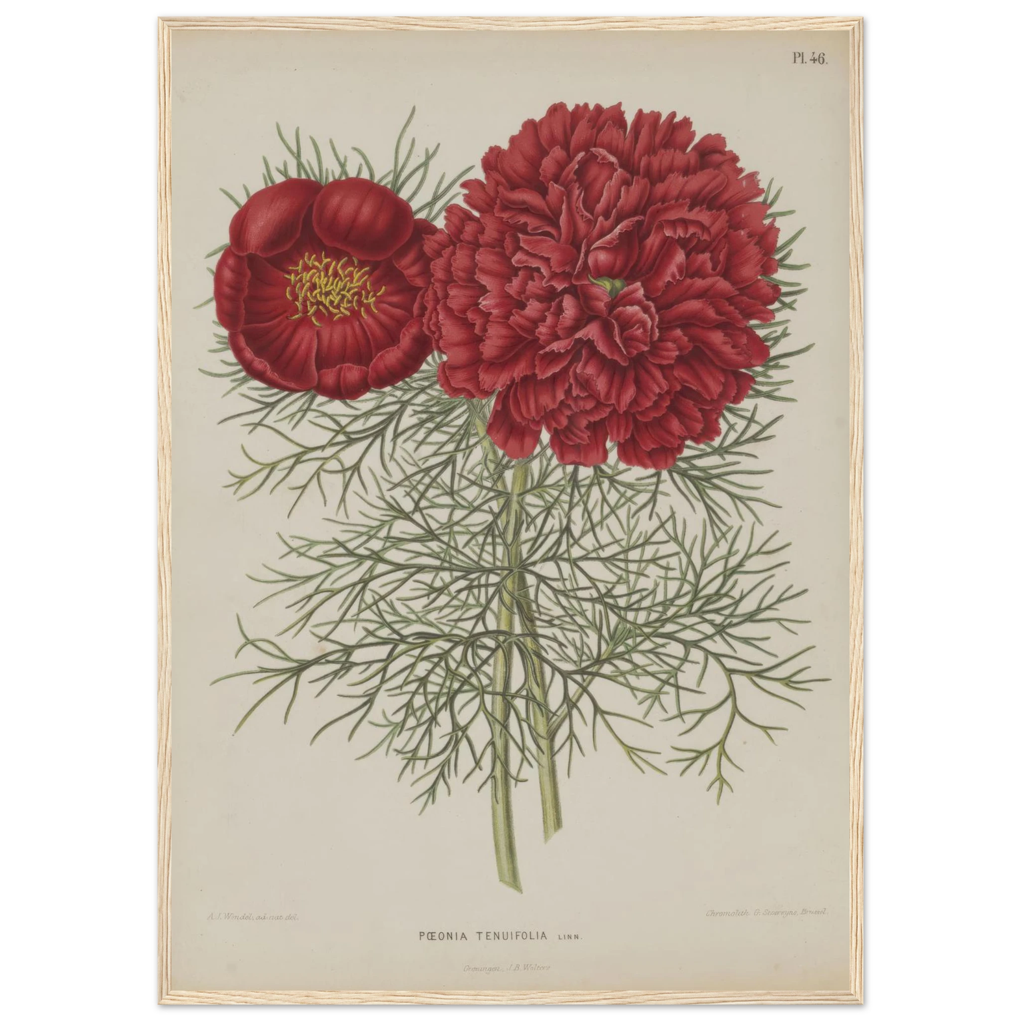 c9aa6b7b-5be1-4cb6-bd2a-8aeb965aa0a3