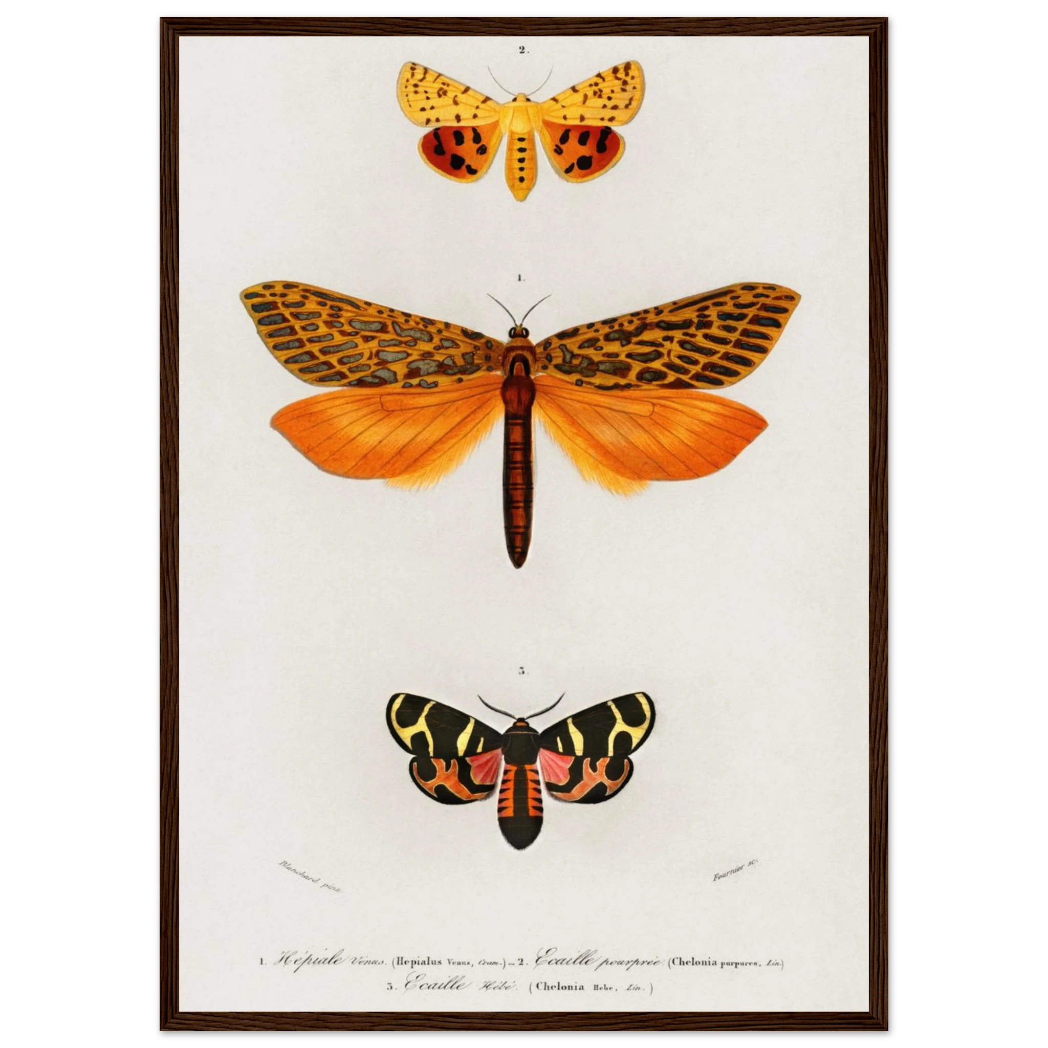 c9aaa4fa-bb37-4d94-b26a-b8eeff3faa6f