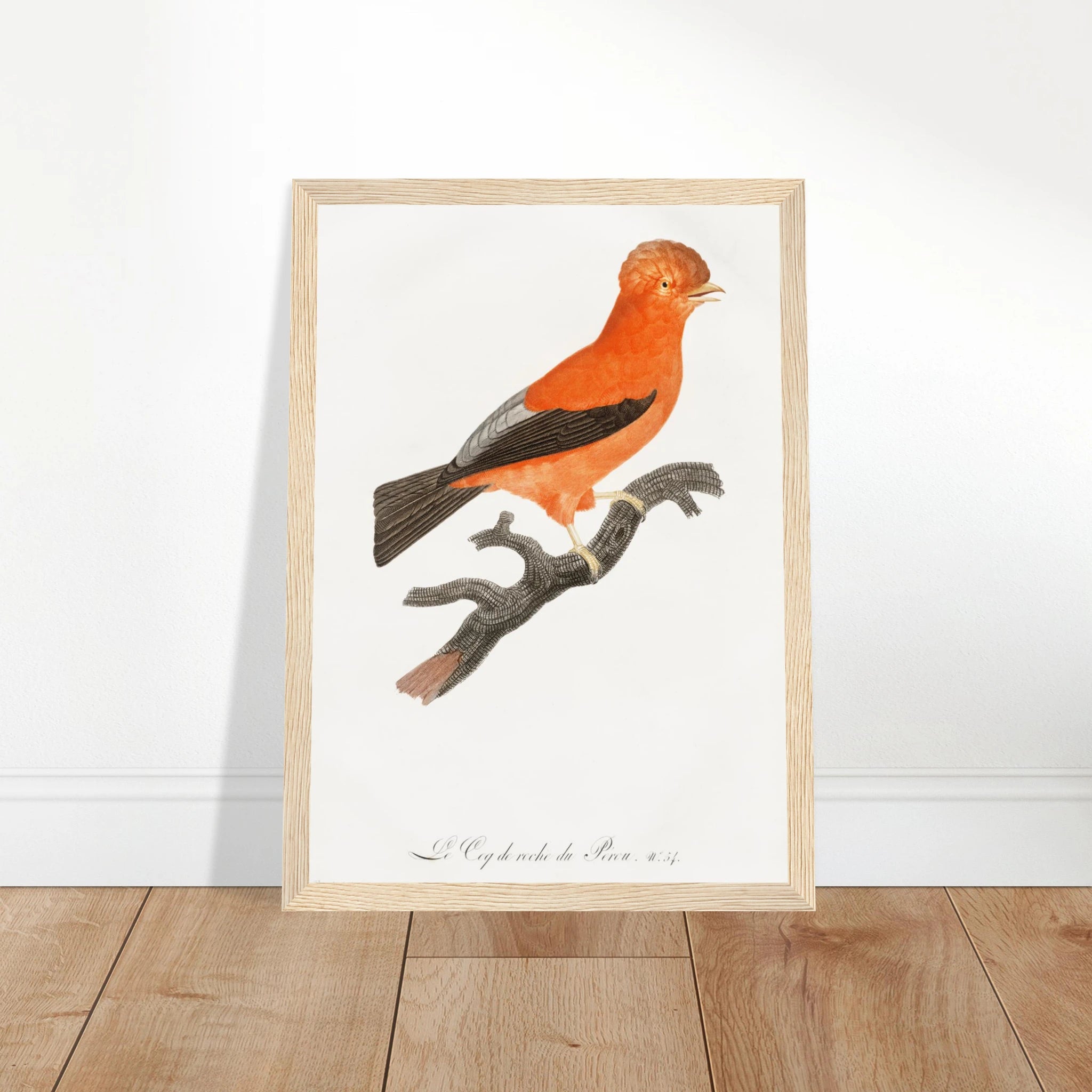 c9ac8351-2cfd-4efb-8dc8-678e3e58ea33