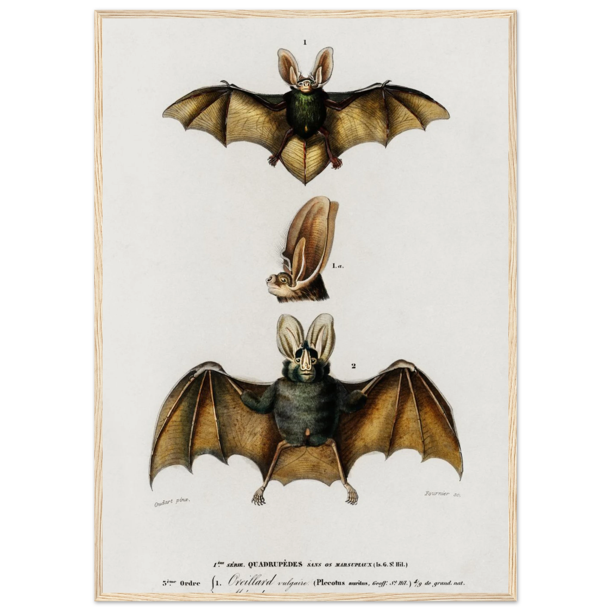 c9cea0e0-548e-4bf1-90b3-0d33228f568f