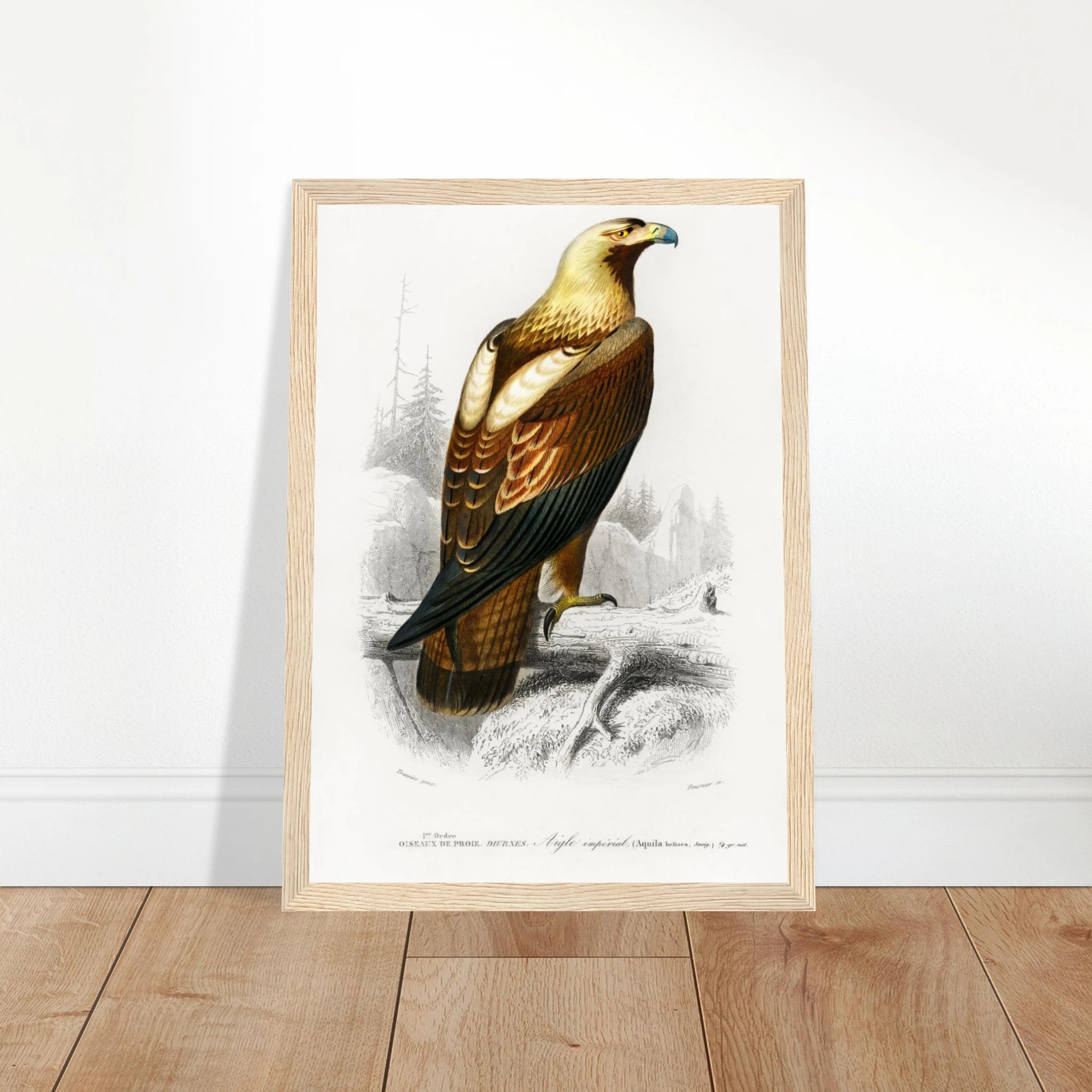 ca19193a-f5ea-4db1-989a-19602a4a3da9