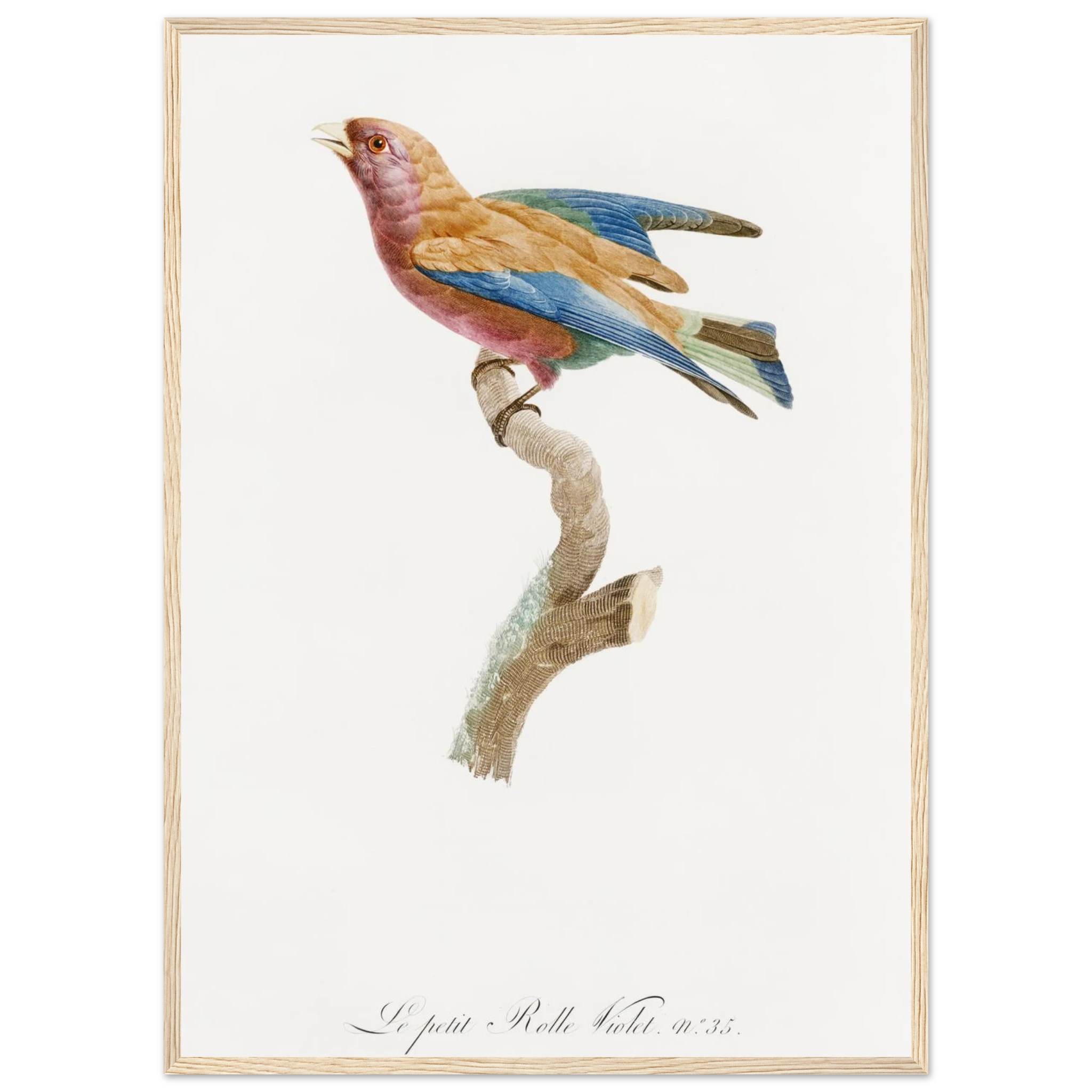 ca5d3a36-c3e1-4933-8a92-8a9eba0629b0