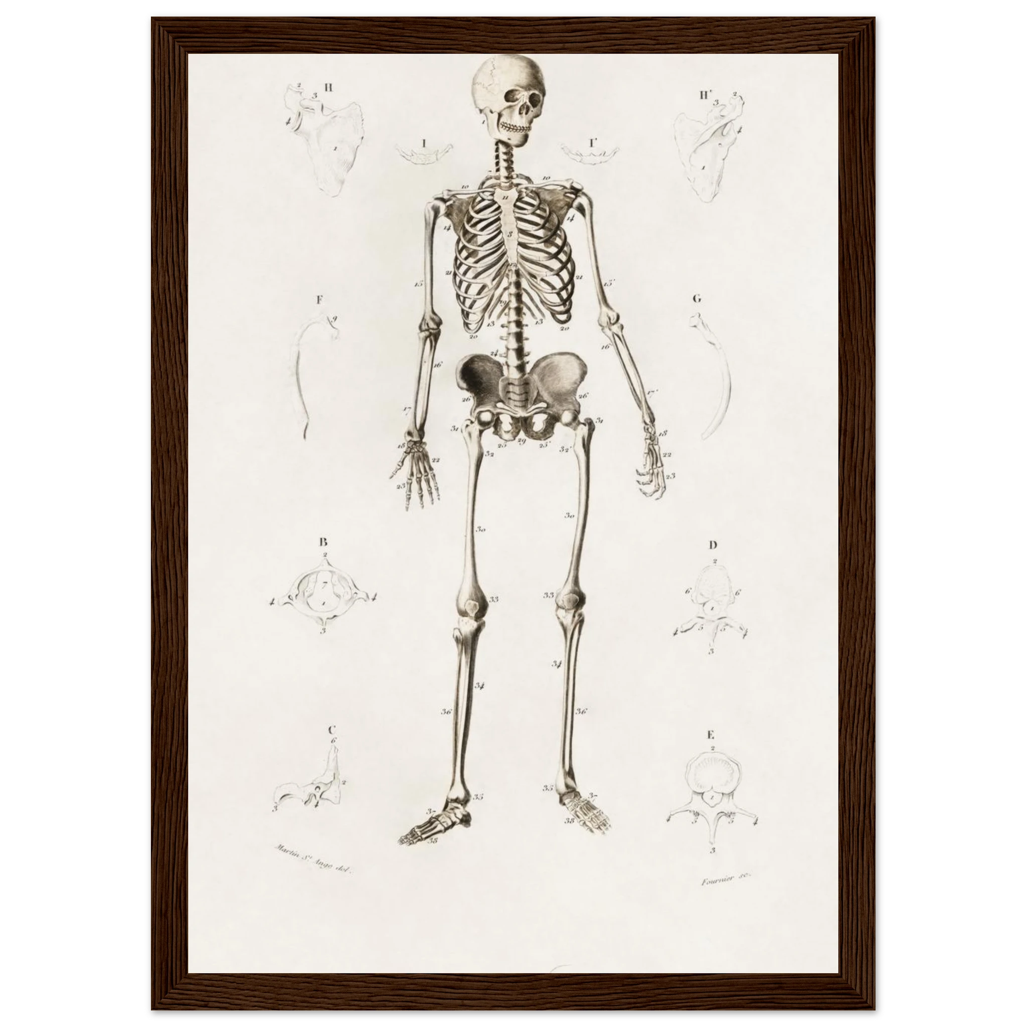 ca78024f-e194-404d-9412-971183013e91