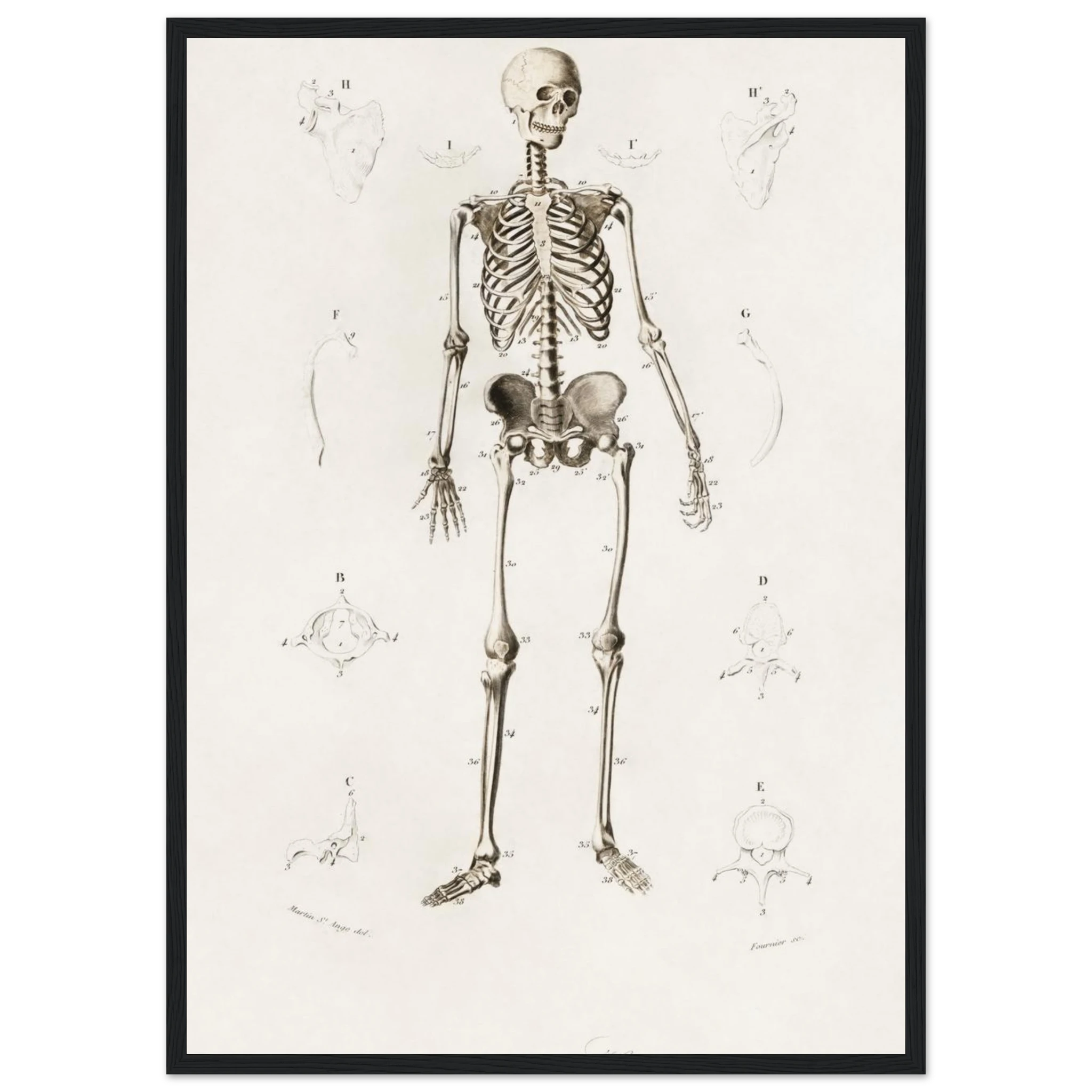 ca8a6685-fe6f-4176-9b9c-de31b63eb25f