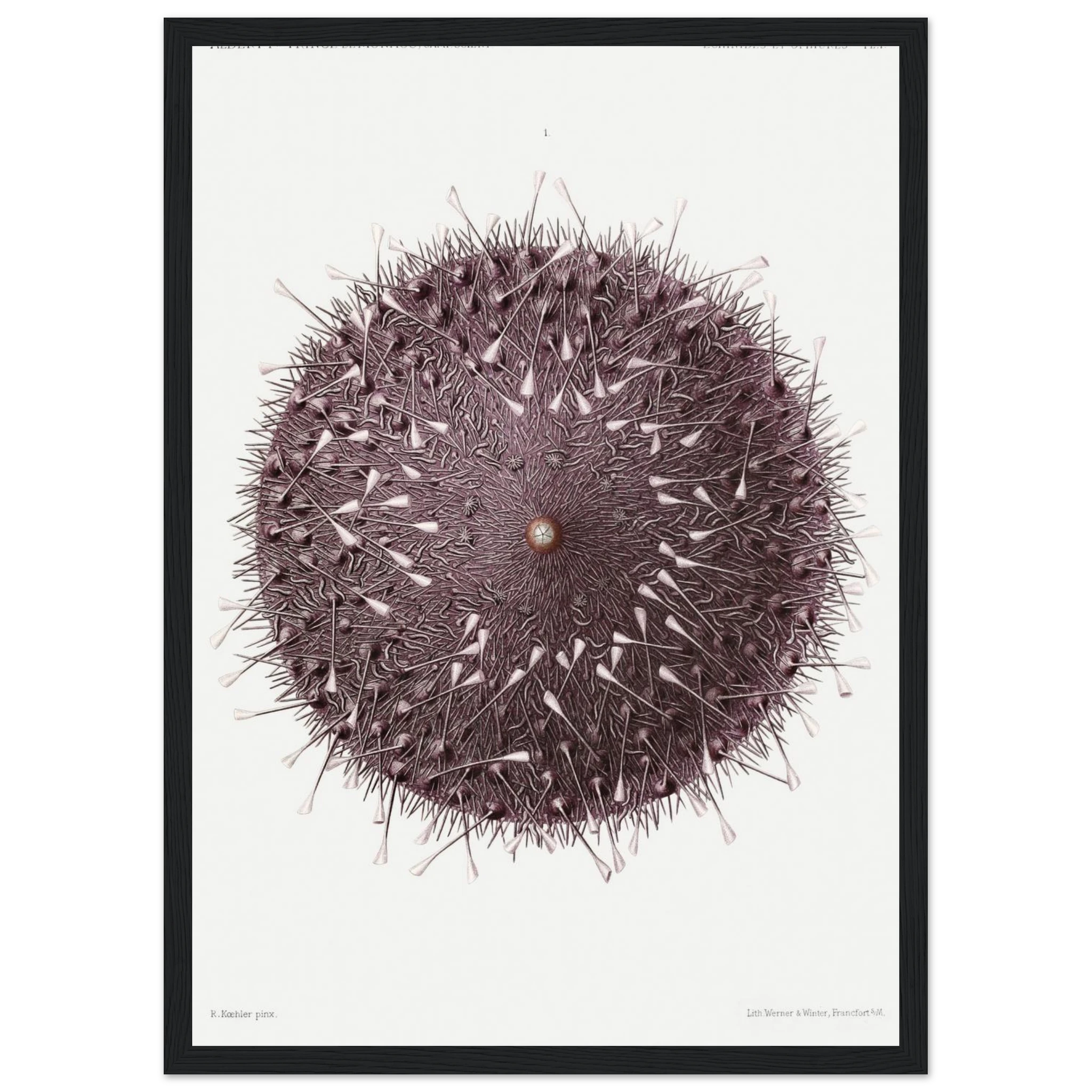 ca94e3c3-091f-40a2-966c-67b674788804