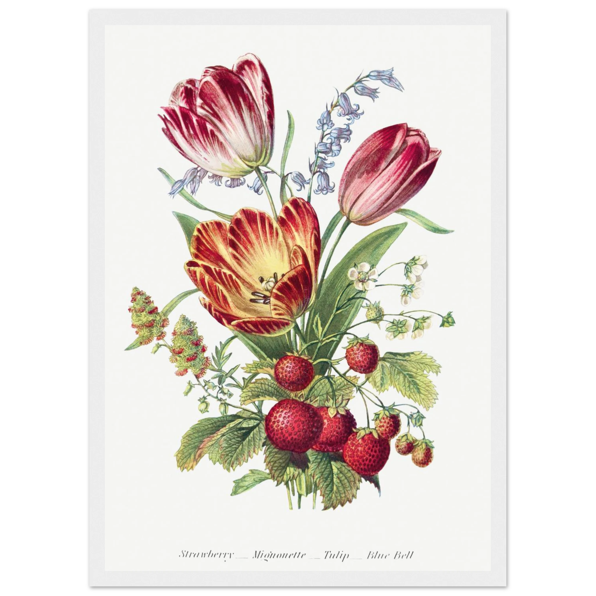 cad78945-3381-42c3-b5e4-d32a9ae1a3bd