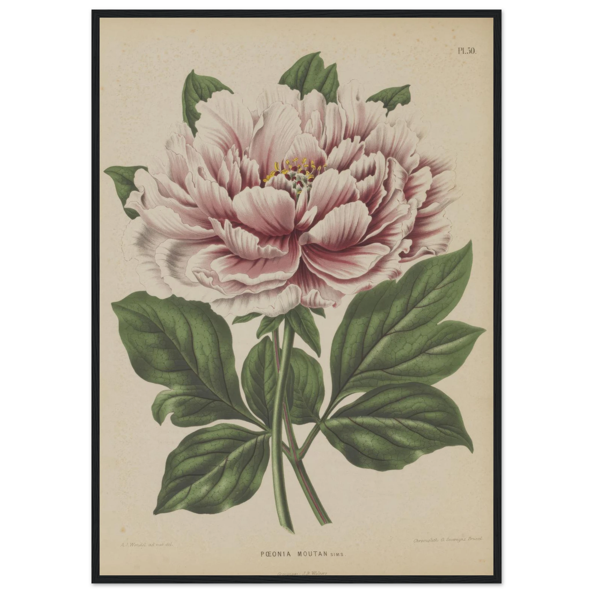 caf03b31-8ed7-47a9-b124-7dc176c70fa4