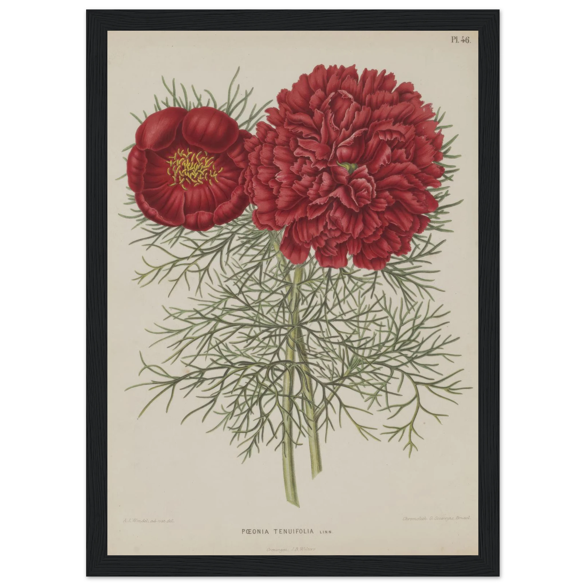 cb0d9039-44cf-4271-86d7-3d34dfe82299