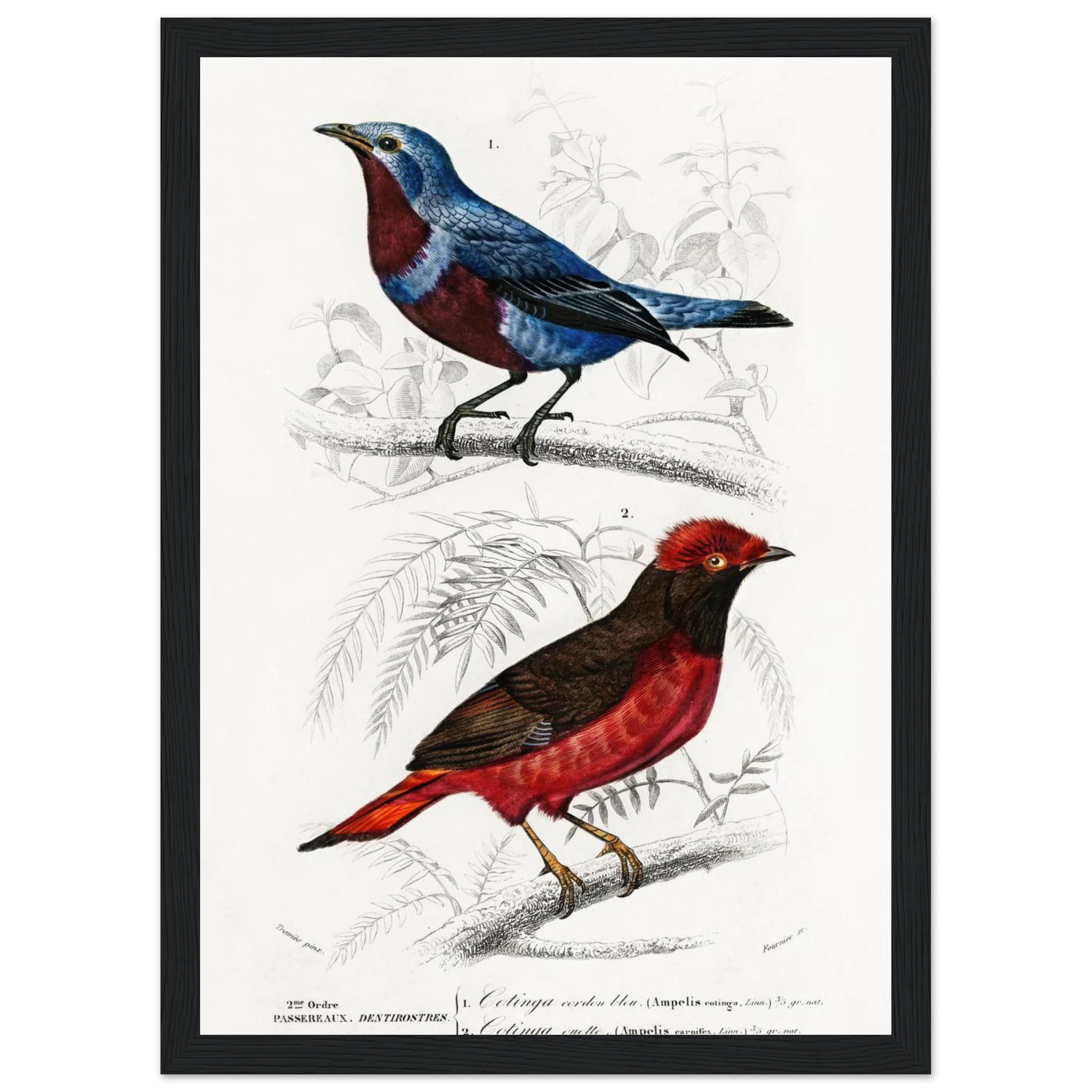 cb230991-b6cd-450e-b6bf-5c64145c54dd