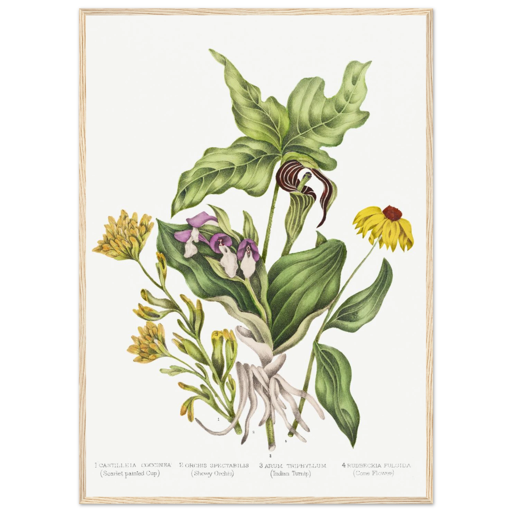 cb49c1d7-34a5-414f-a1b4-8b4ed6a9ea67