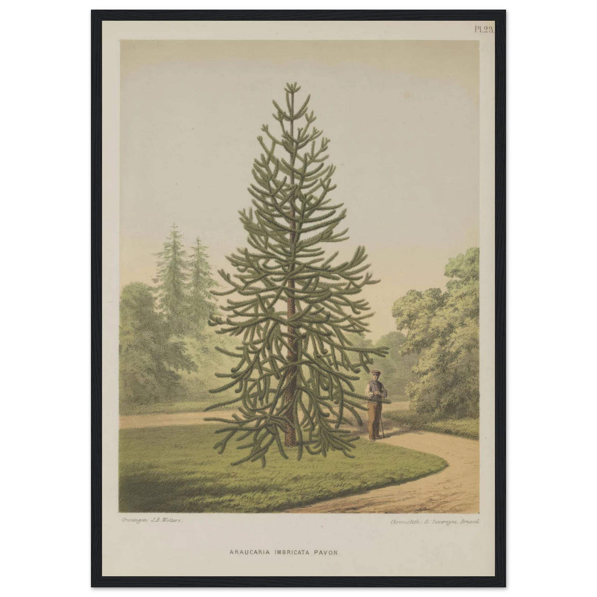 cb6c61da-01e4-43df-99ae-a093e43356d2