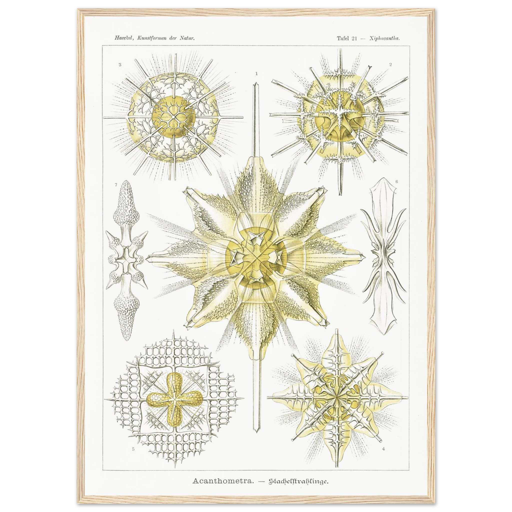 cbba3793-d86a-4f7b-82b0-55eb28a5e9d9