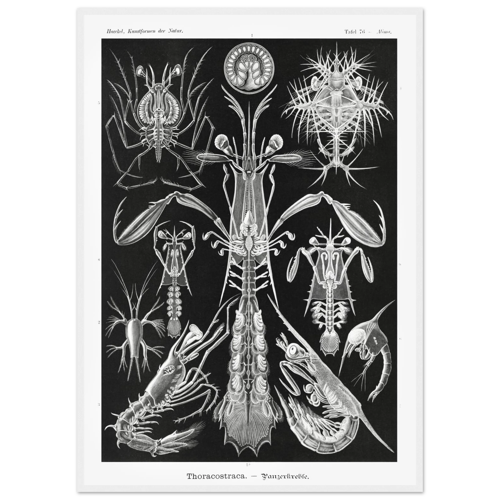 cbc45430-0cdc-466a-bdd2-6939bbae1b37