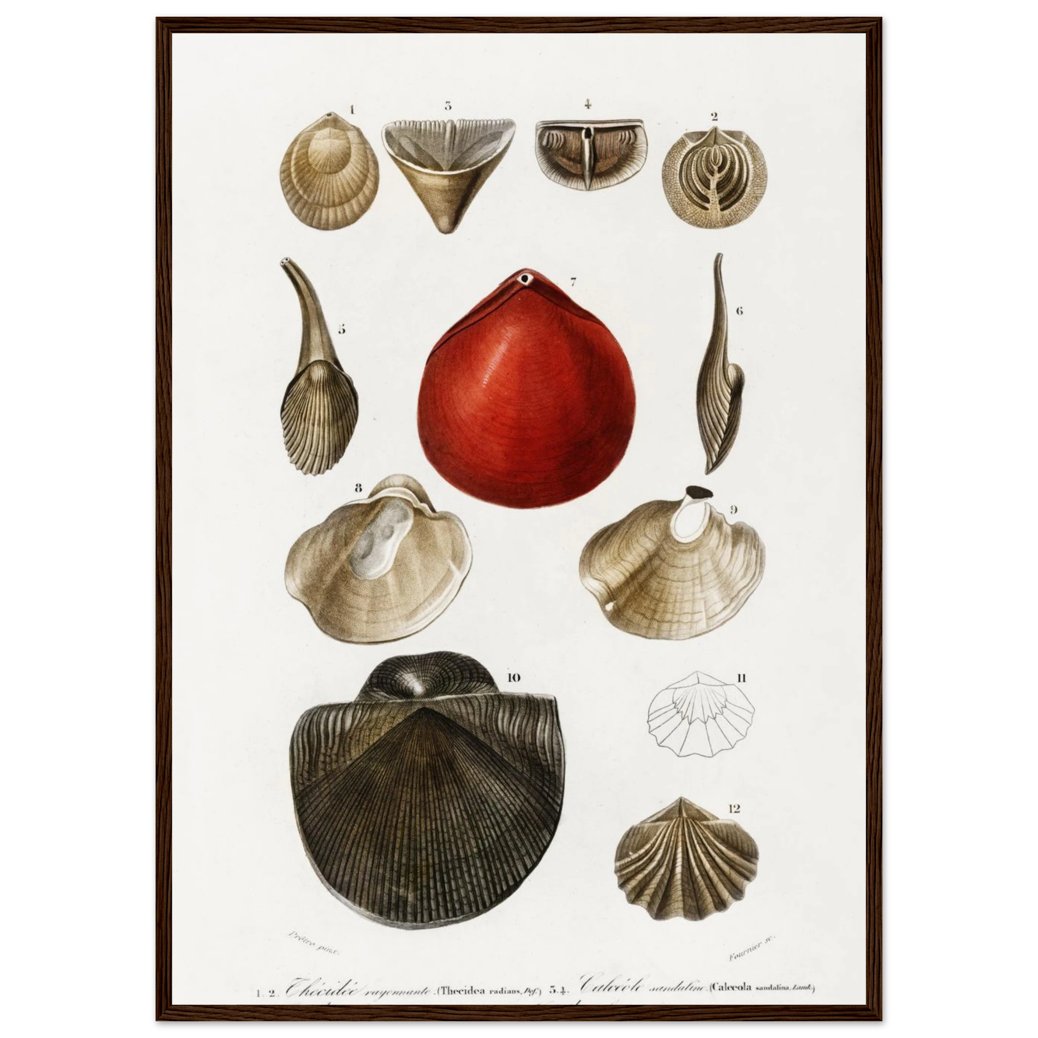 cc34dcf2-08e9-4fc3-acae-3844543ae45b