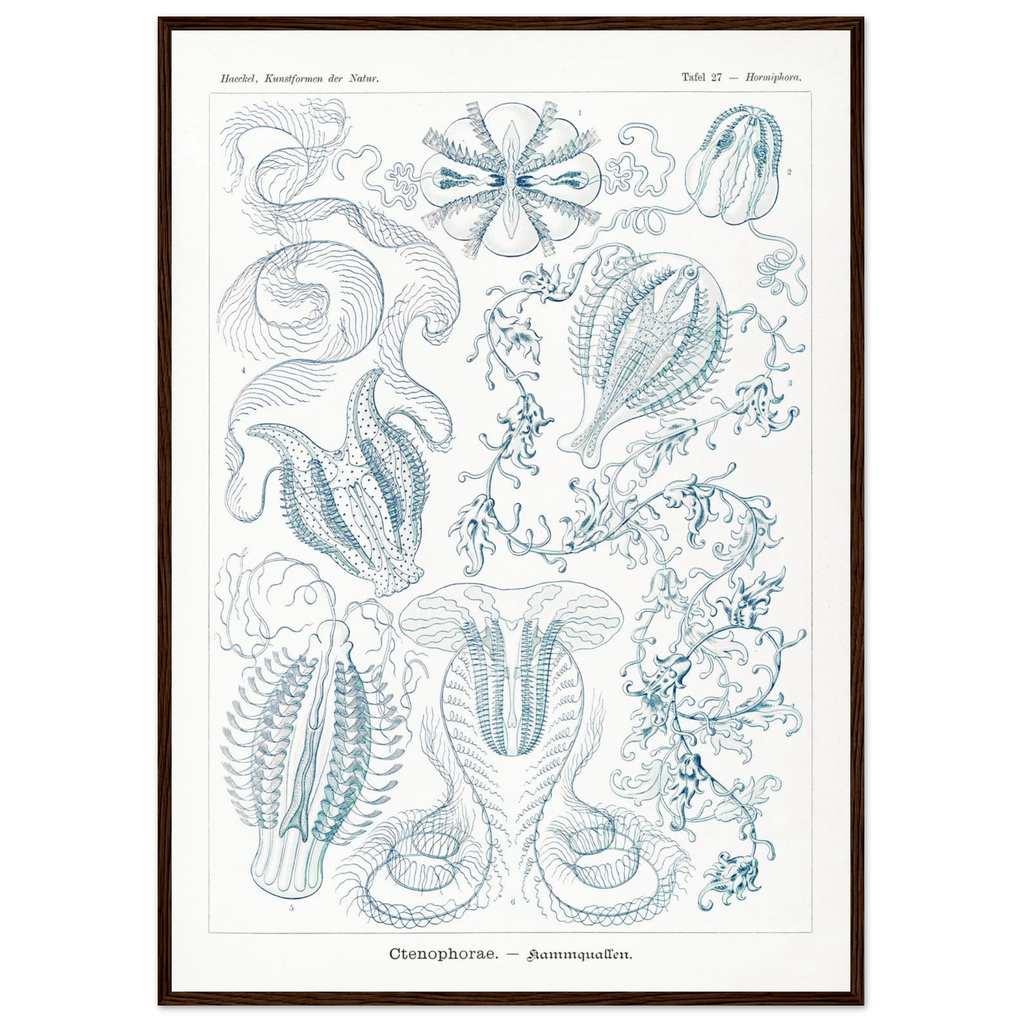 cc804163-17d5-4ea1-a241-4631265ee705