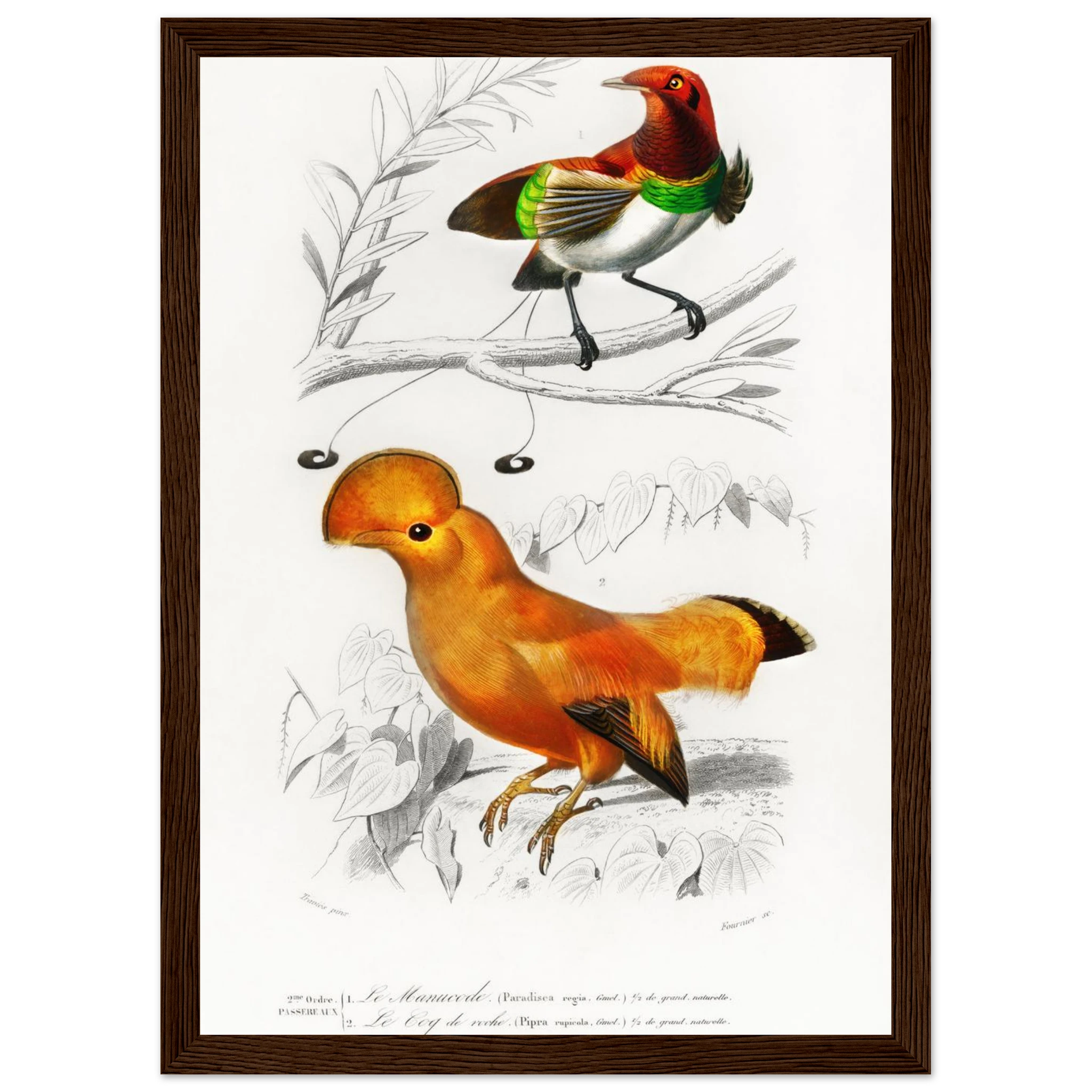 cceb2626-848c-46e9-8675-9ed089111953