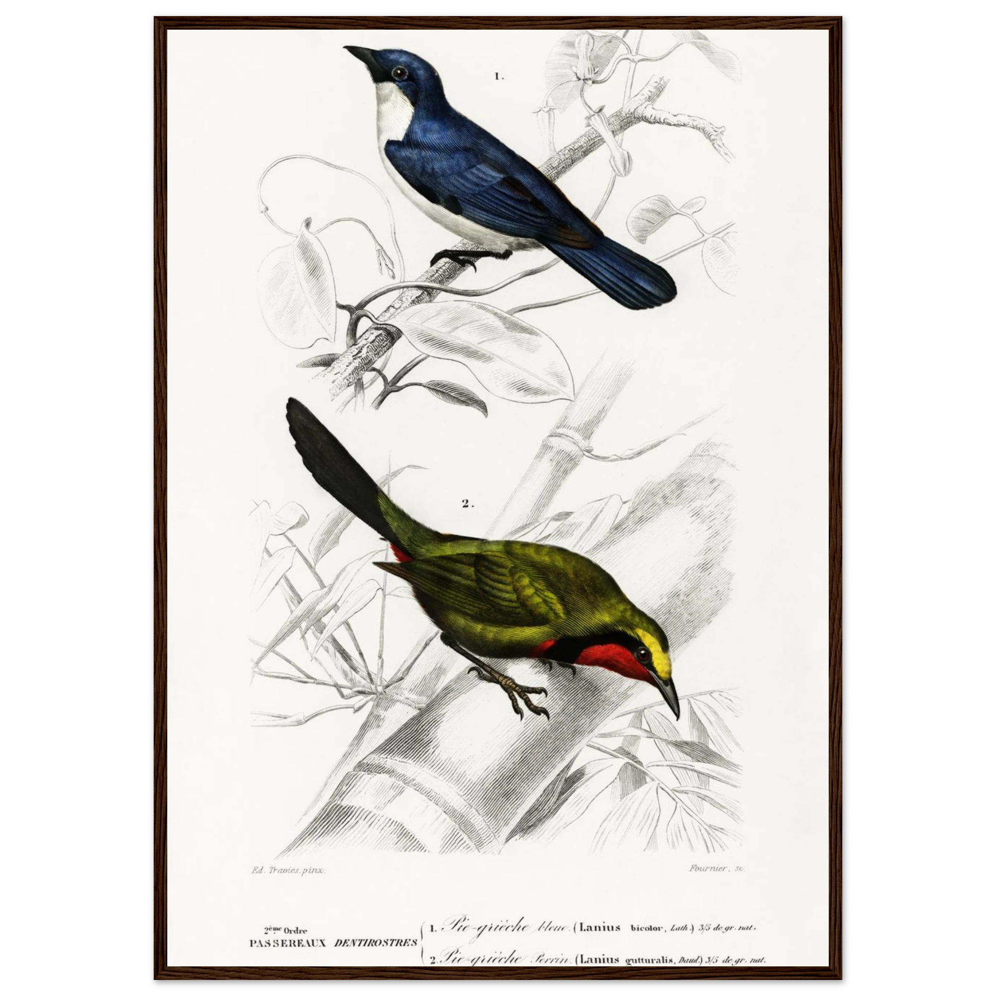 ccf6394c-5249-479b-b286-849c131b7651