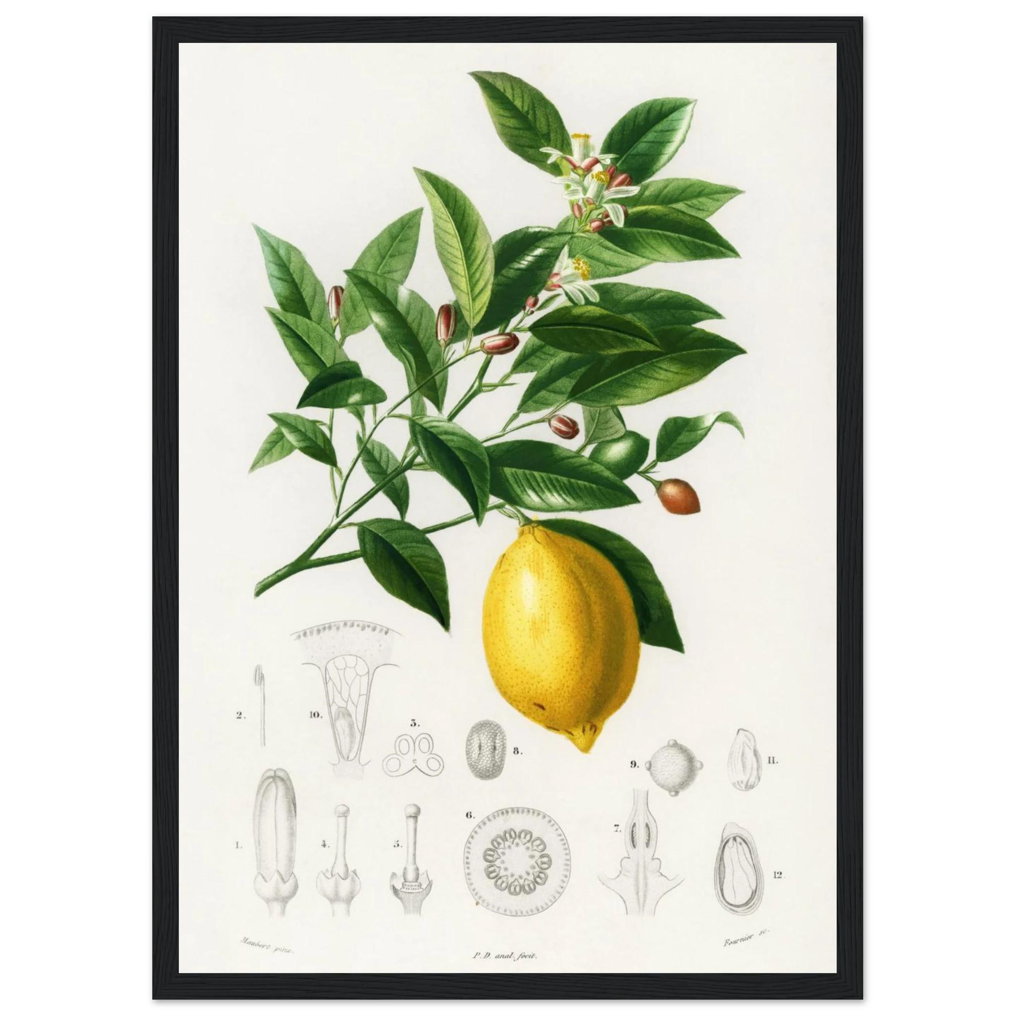 cd10a0d0-d443-4fba-ad6a-d20f0e824c82