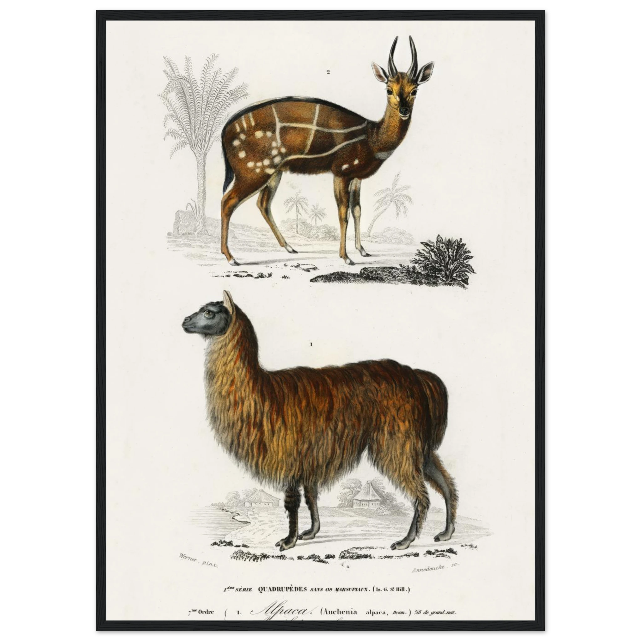 ce46a0fd-4c89-46f1-a0ca-e9b08eddc992