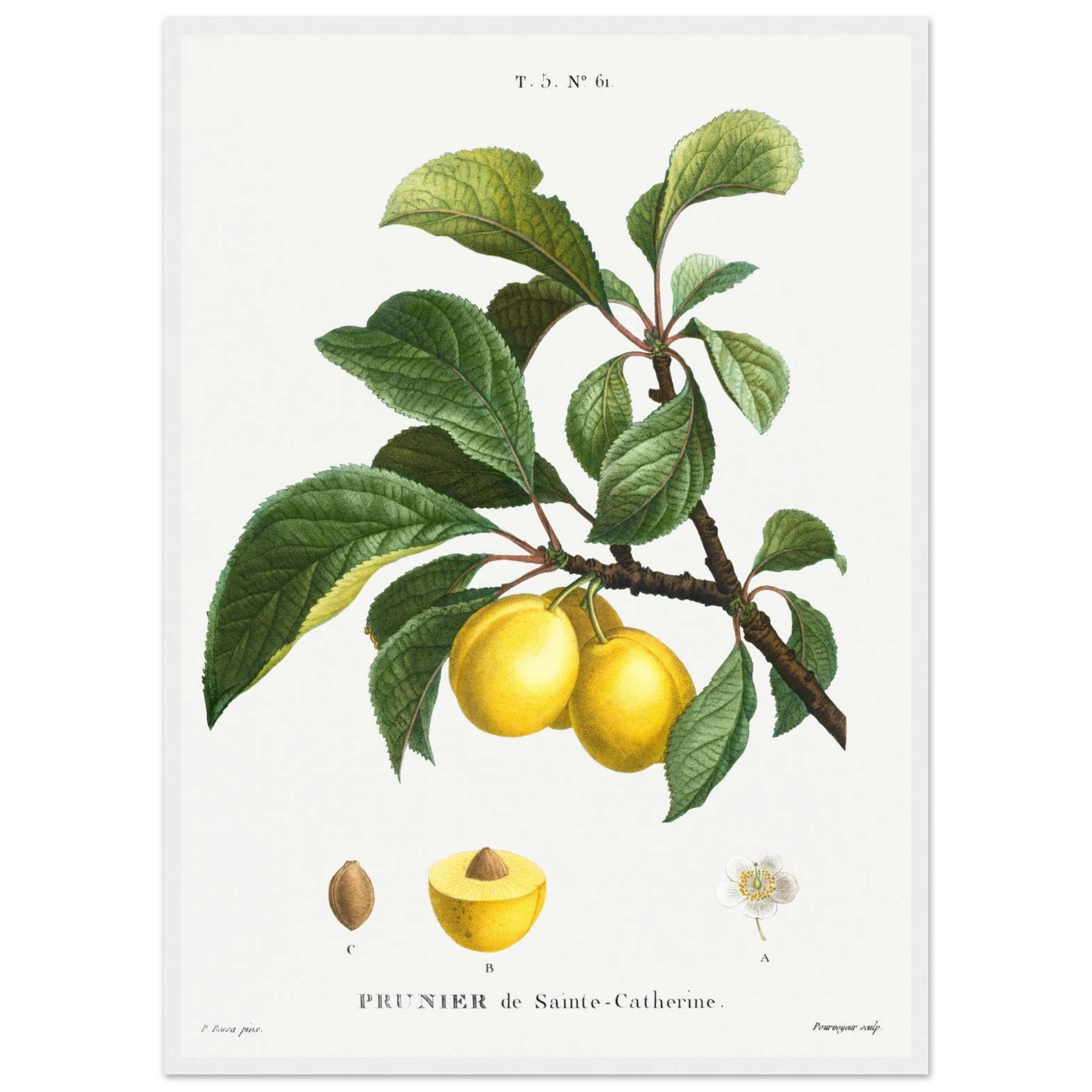 cf25a3a1-c783-4d20-aa21-3bf2ea0cc3d6