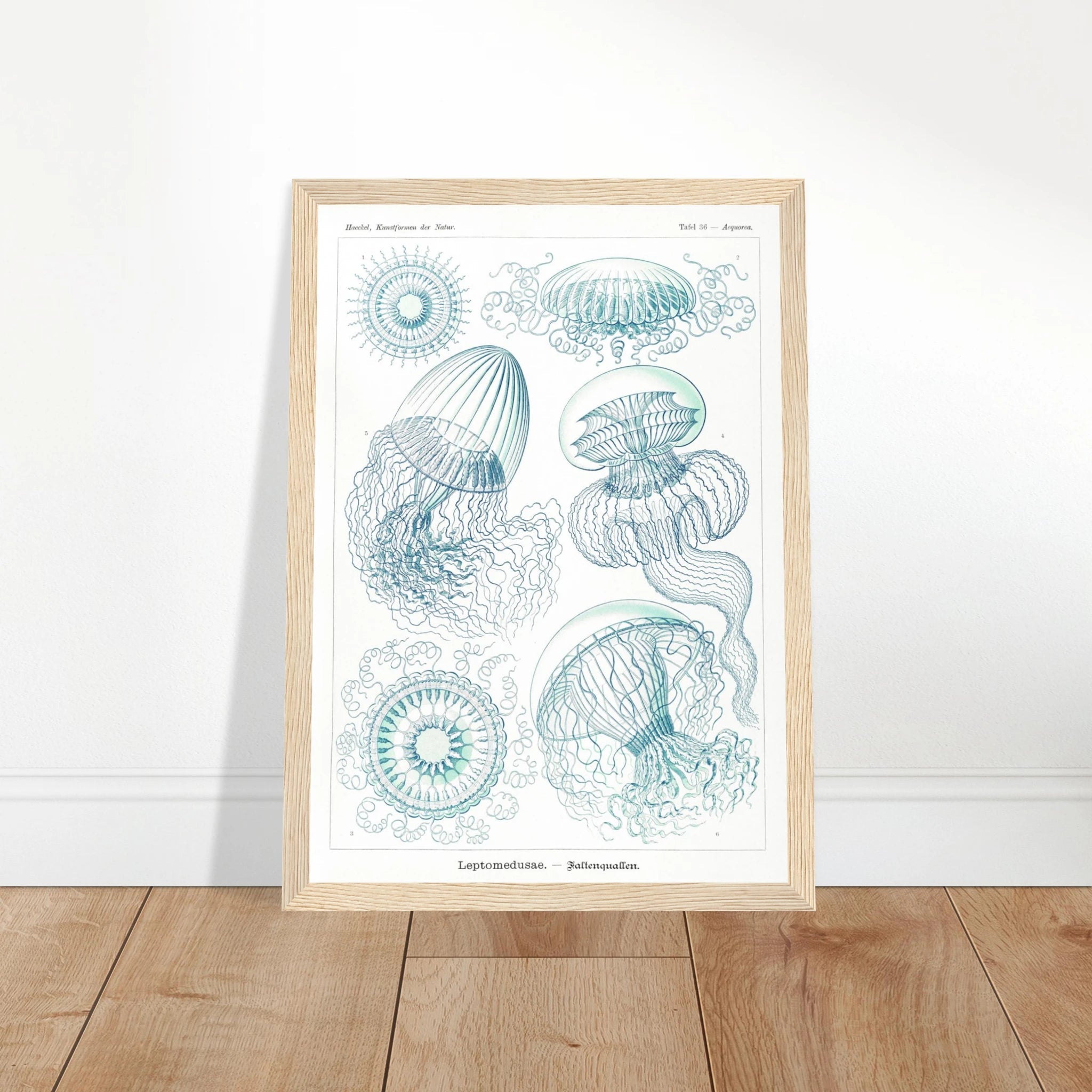 cf7862de-d805-4418-903b-5adb06ba4bad