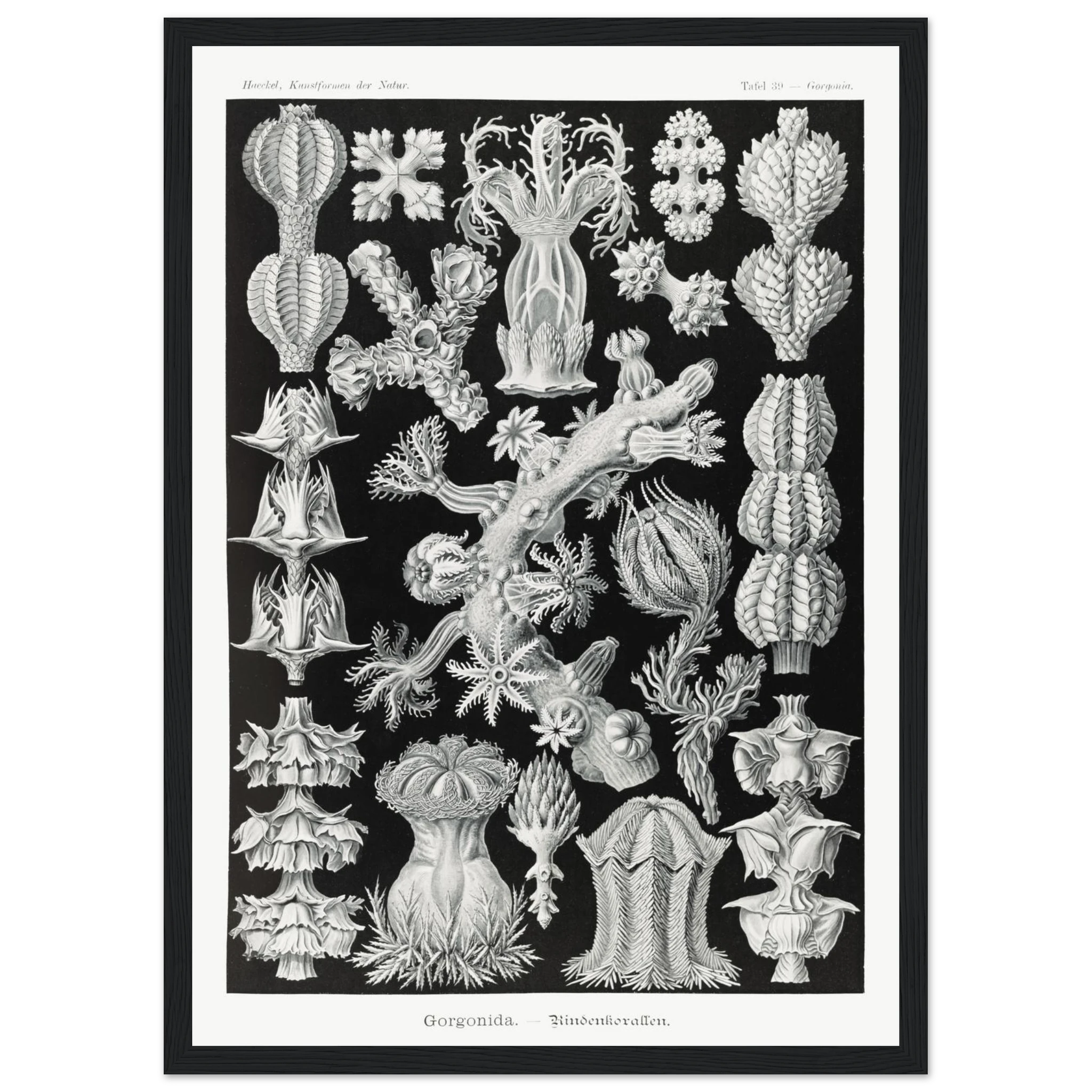 cf9085d3-5da8-4d98-a357-fae7e8d84558