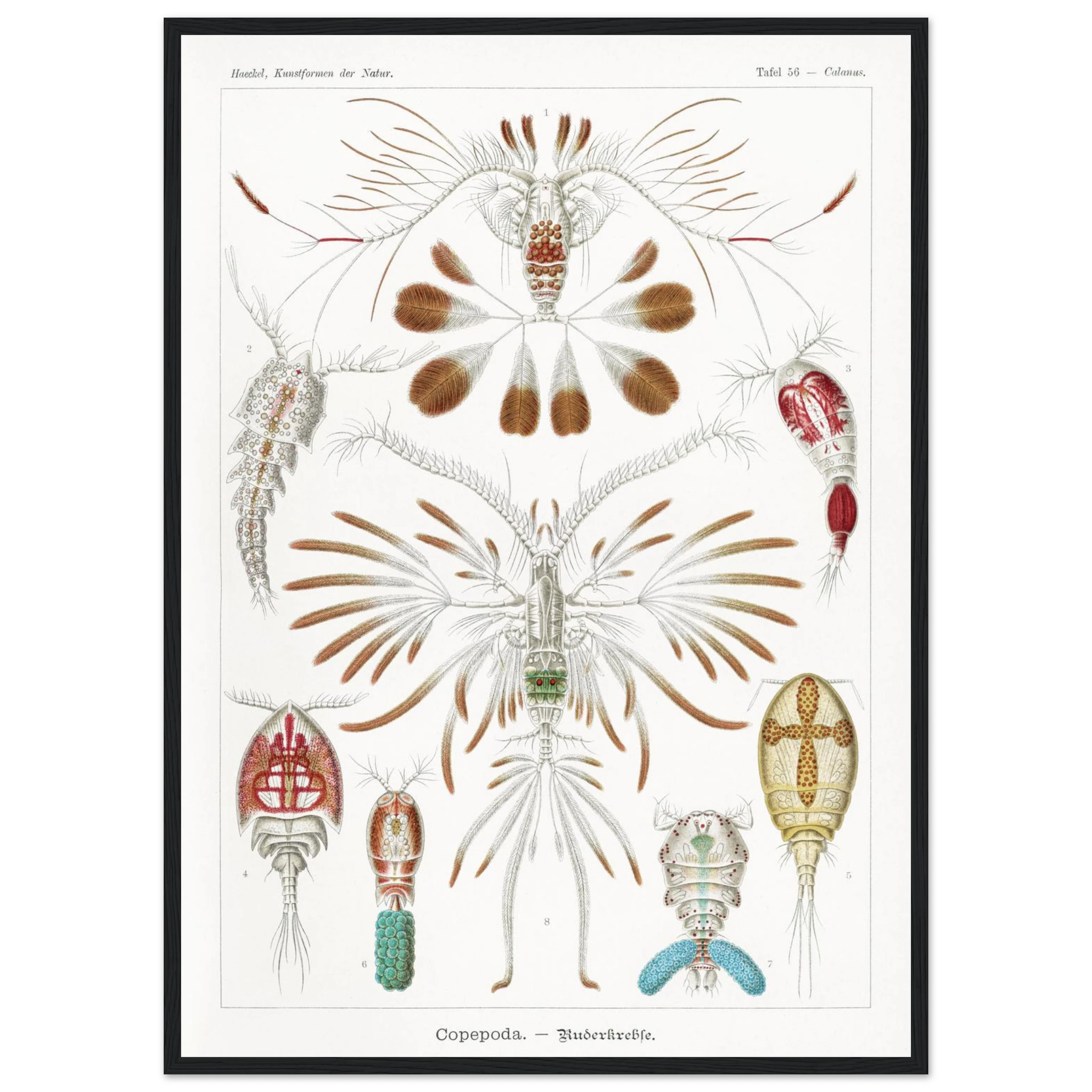 cfa4fdfd-68a9-41bd-9b46-eab474510f0f