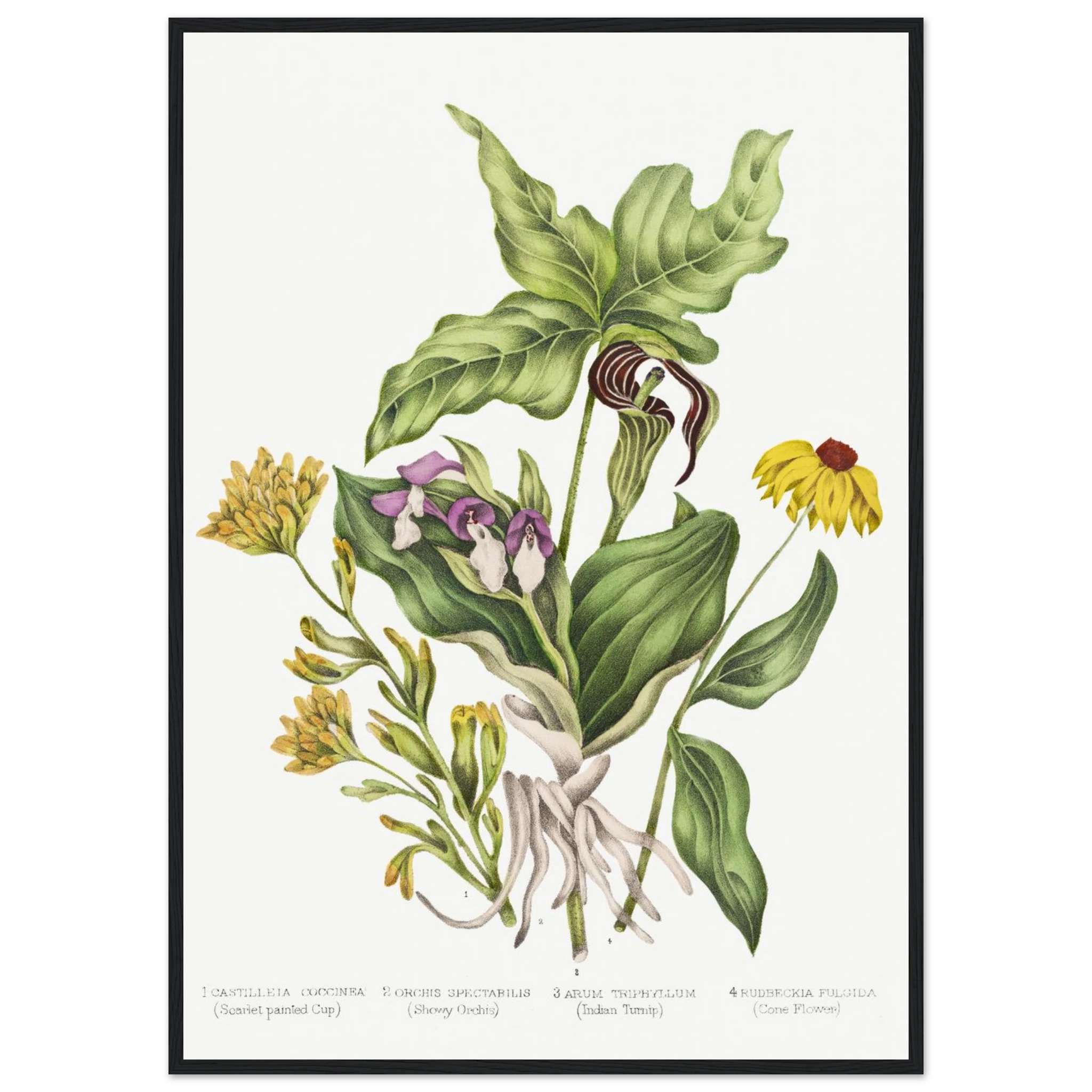 d00a69c9-5335-4e8b-9f6d-72e2cf02e064